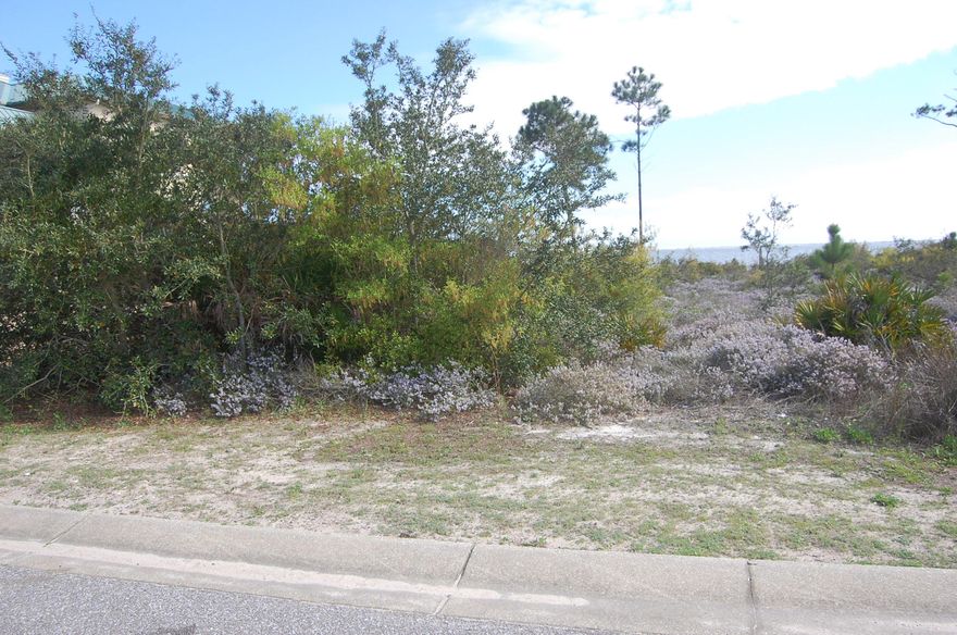 Soundfront homesite in Lighthouse Pointe with INCREDIBLE VIEWS of Santa Rosa Sound (Intracoastal Waterway), Santa Rosa Island(protected Gulf Islands National Seashore) and in the distance Navarre and Pensacola Beaches~clear waters teaming with mulet, trout, redfish, crabs, pelicans, herons & dolphins~quiet cul-desac with minimal traffic make this a great neighborhood for walking, jogging & biking~terrific south Santa Rosa schools~a short bike ride to Pensacola Beach and even shorter to Navarre Beach for dining, nightlife and plenty of recreational opportunities~get your piece of PARADISE today at an affordable price before it's TOO LATE!!