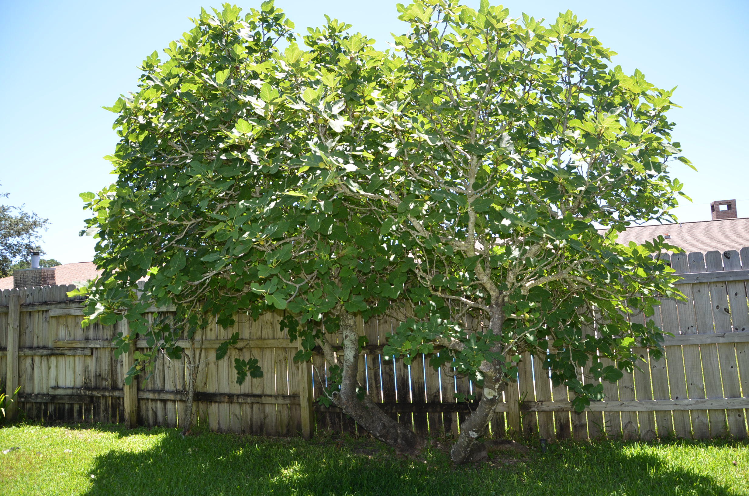 KELL-AIRE GARDENS - Residential