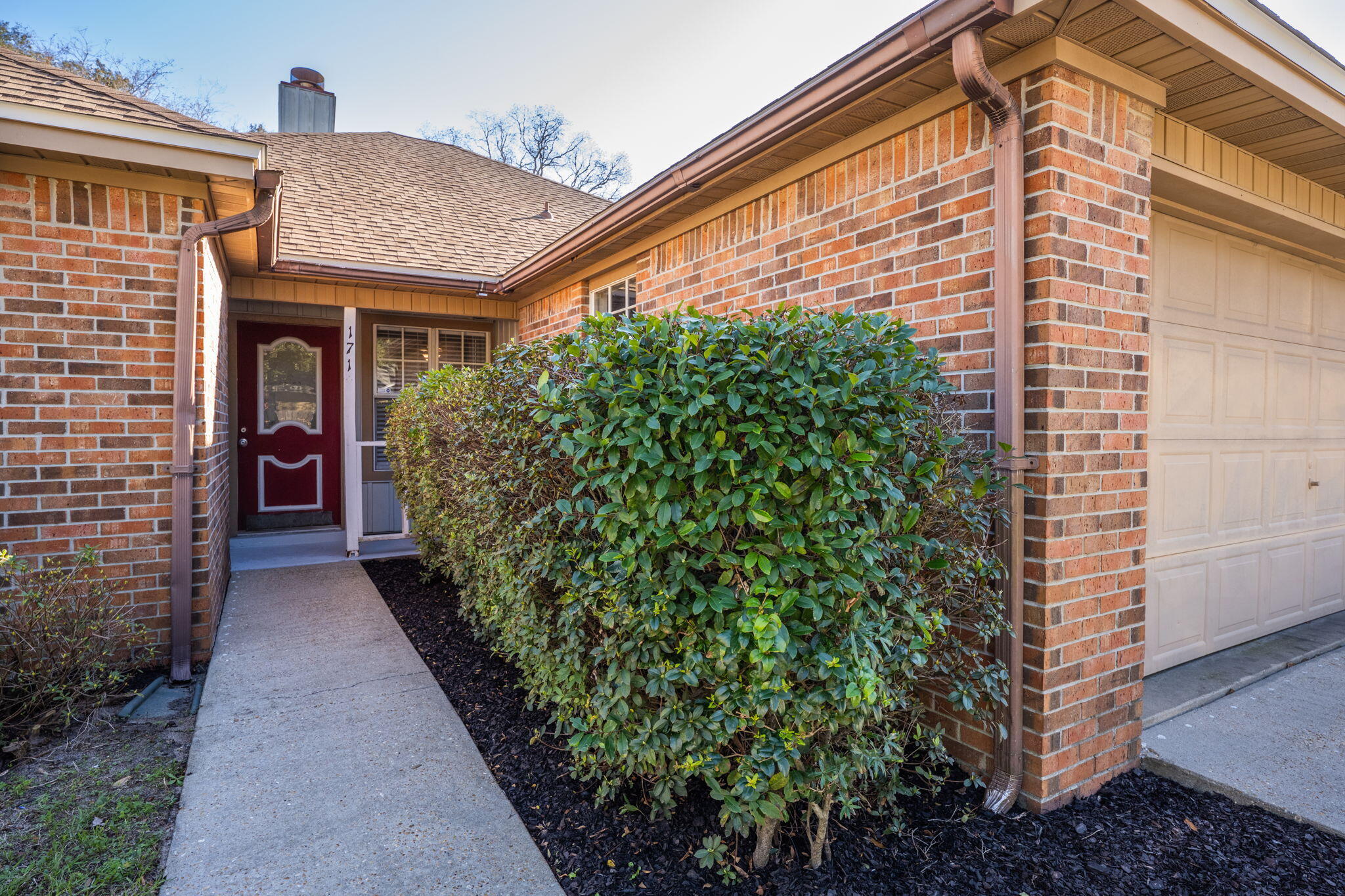 SUMMER TREE - Residential