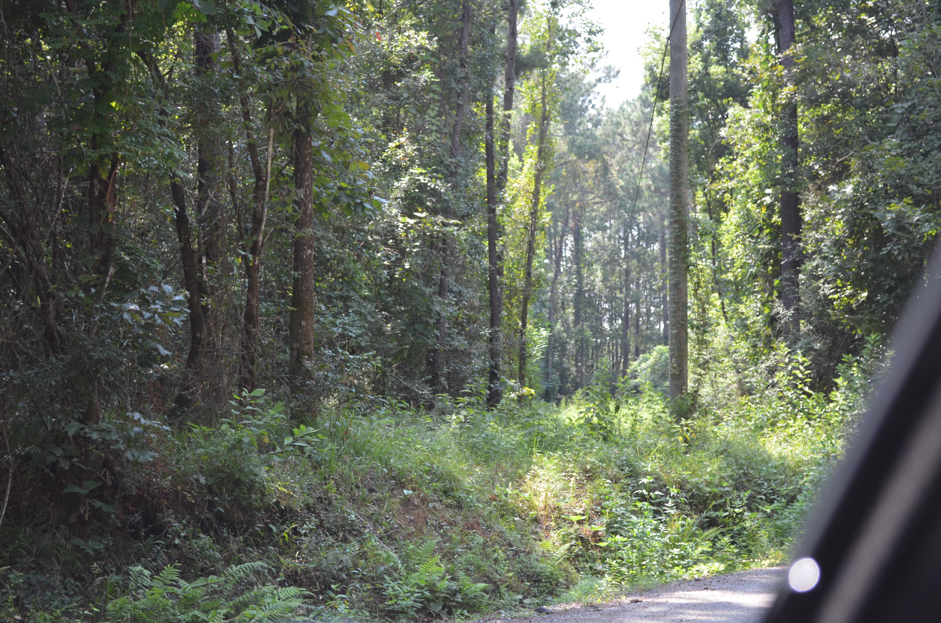 PLEASANT ACRES UNREC - Land