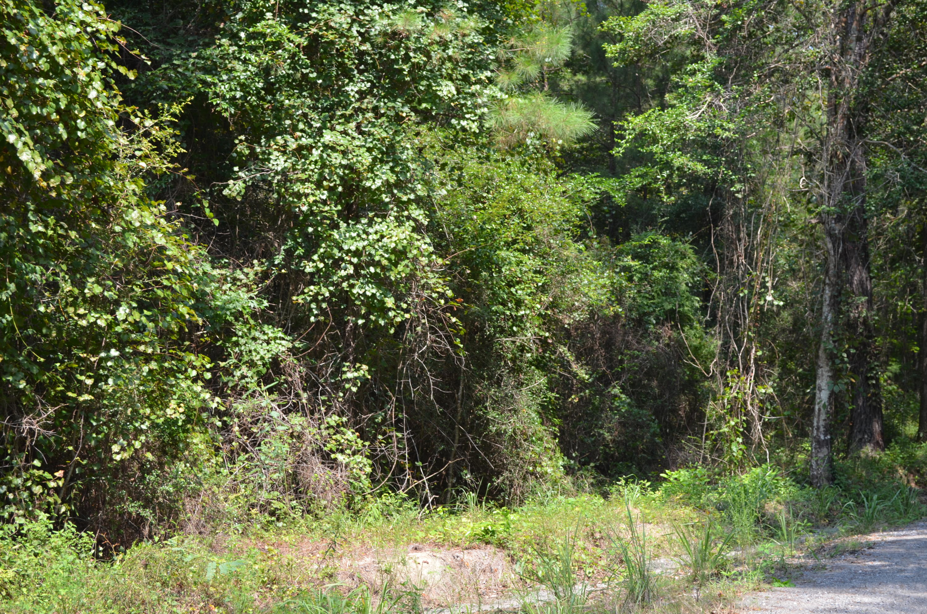 PLEASANT ACRES UNREC - Land