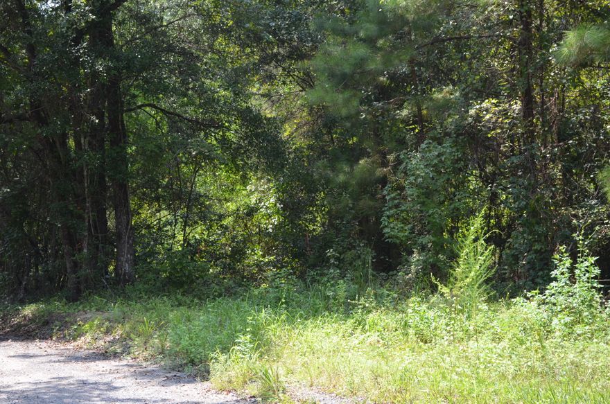 Large parcel of family owned land available with beautiful oaks throughout. If you are looking for untouched property close to Interstate 10 this is it. An additional 11 acres is available next door if you need a larger parcel. This is privacy at it's finest. Easy drive North to Alabama or go South down 331 to the beautiful beaches of Walton County.