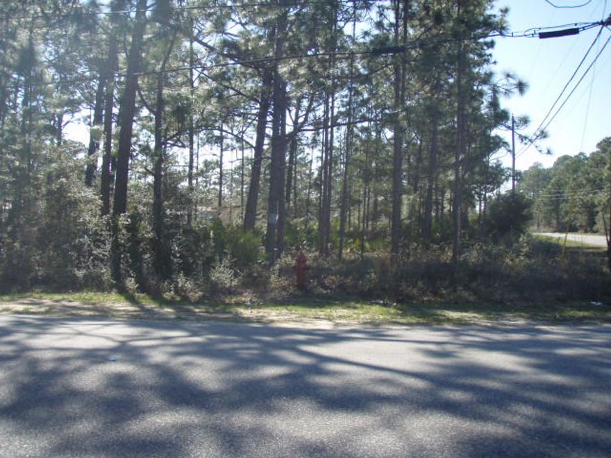 Wooded corner lot just minutes from beautiful Navarre beaches on the Gulf of Mexico. Great building lot with public water and public sewer available. Zoning is RM1, Residential Mixed Use. Mobile homes are allowed. The 2 lots South of this lot are also available.
