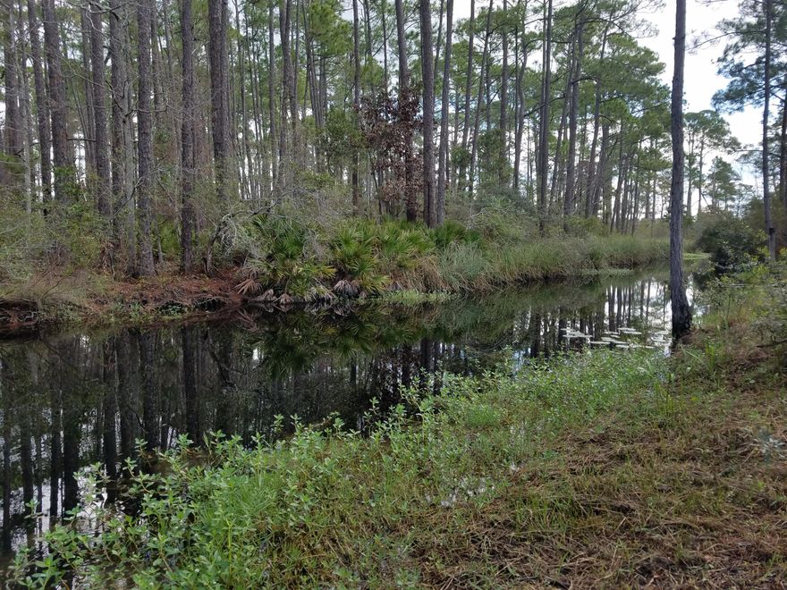 Great waterfront home site! The Choctawhatchee Bay is across the street from the lot, with a canal in the back of the lot that leads to a large lake and into the Bay. The current owner had a 16 foot boat that he took through the canal waterway from his backyard into the great fishing lake that is located to the left. If you can't catch the big one there than turn to the right when you head out out of the canal and head to the bay! This is a really beautiful and unique property that would be perfect to build your dream home on; especially if you love to fish and be close to the water. The lot is directly across from Nick's Seafood Restaurant on Highway 20. Also, this would be a great site for a camper if you just want to have a fishing site.