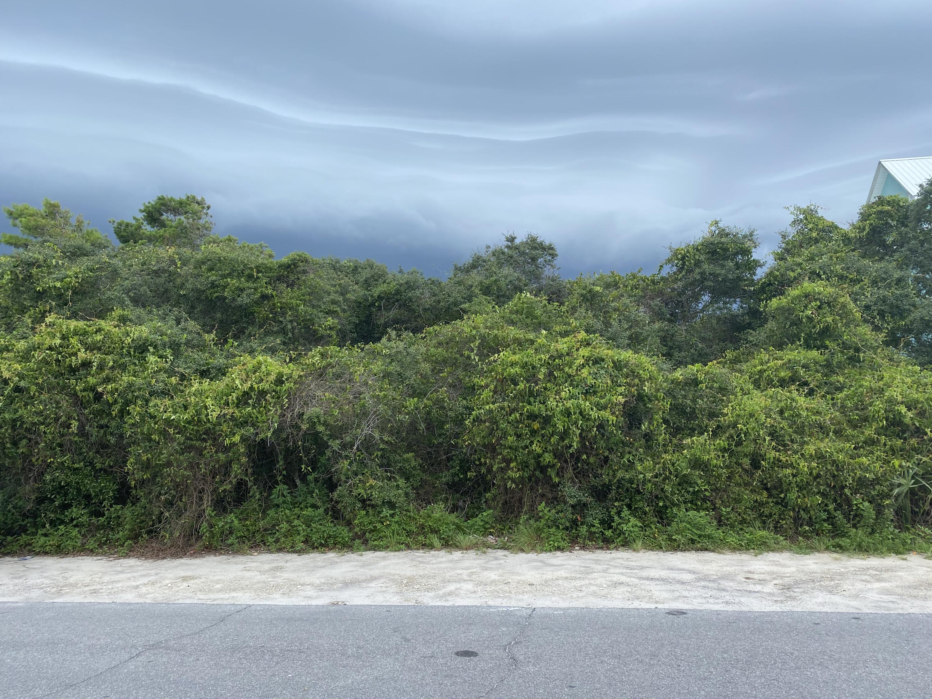 BLUE MOUNTAIN BEACH - Land