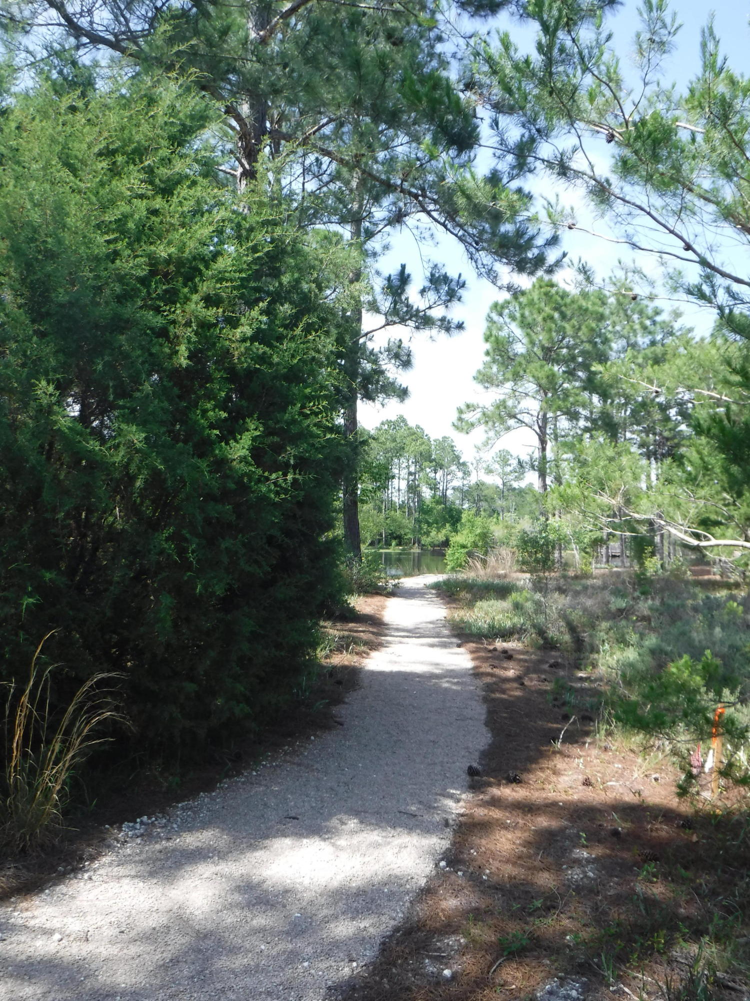 FOREST LAKES - Residential