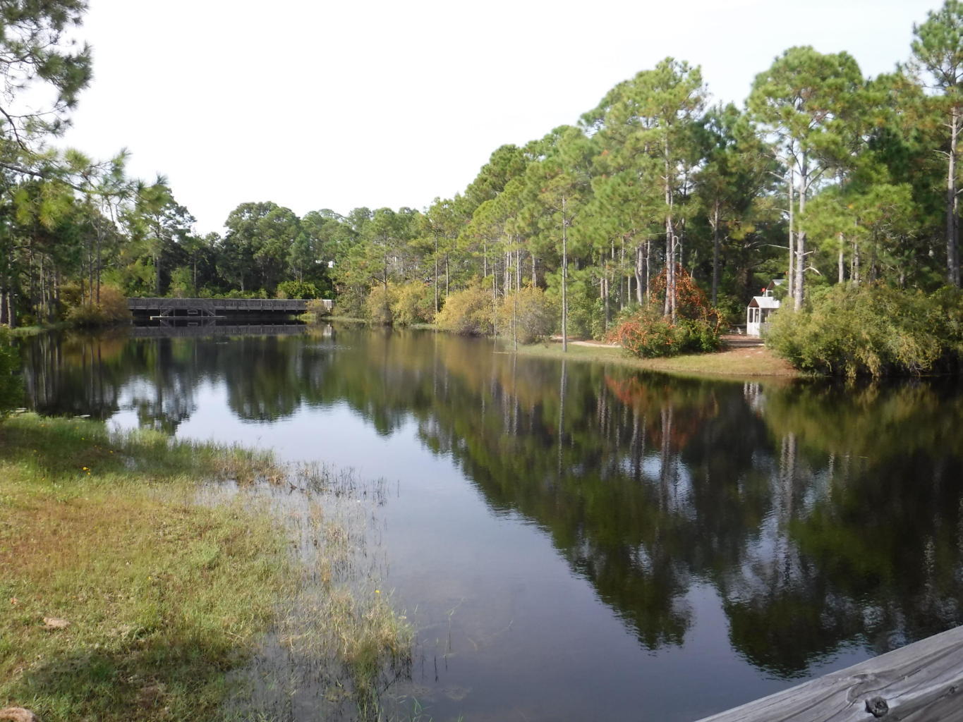 FOREST LAKES - Residential