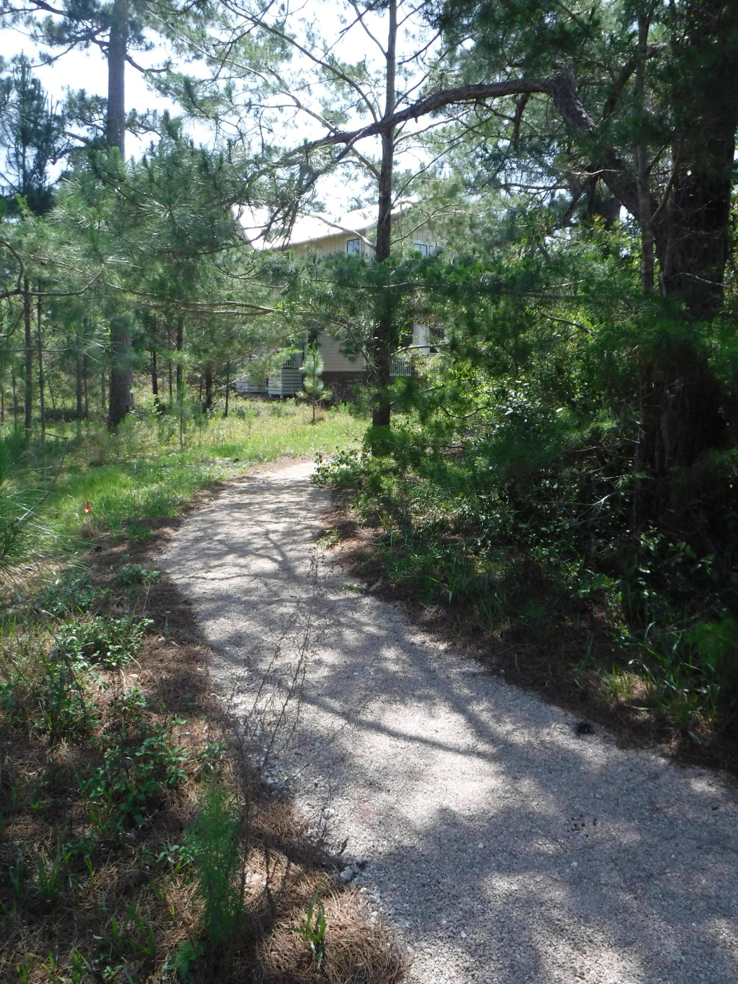 FOREST LAKES - Residential