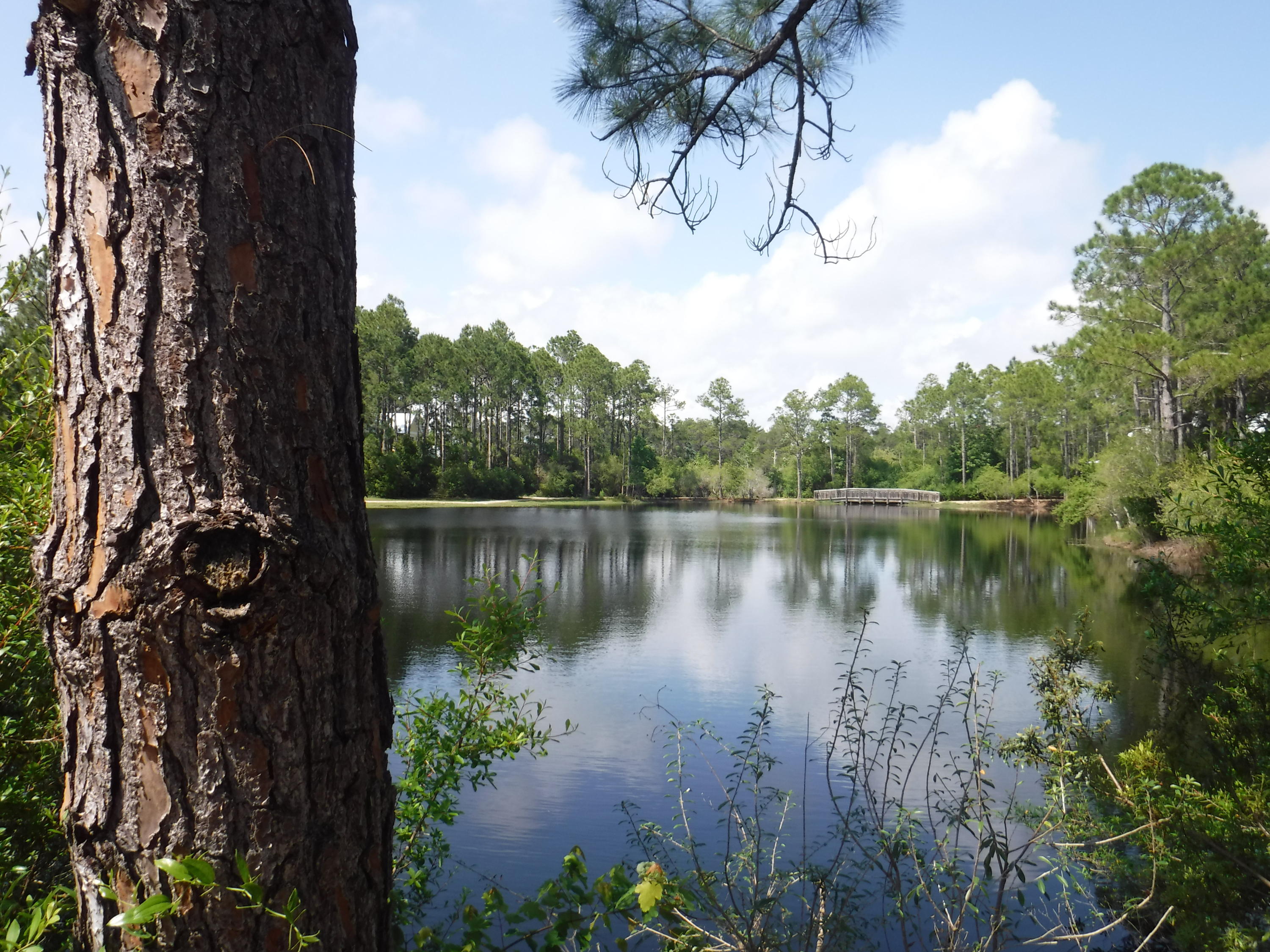 FOREST LAKES - Residential