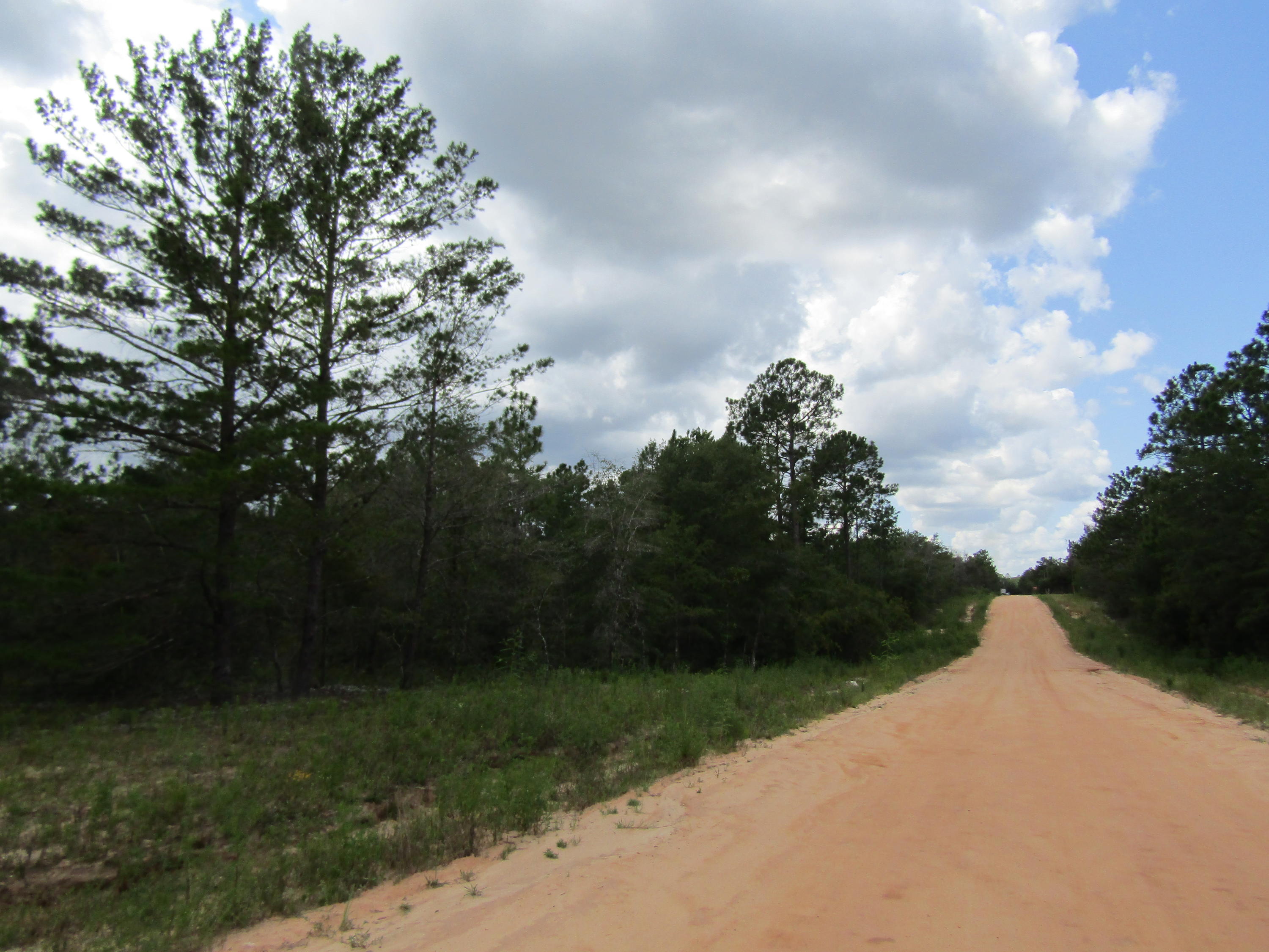 Lot 12 on Juniper Ave wooded lot on a dirt road. Appox 0.25 acre subject to an up to date survey.