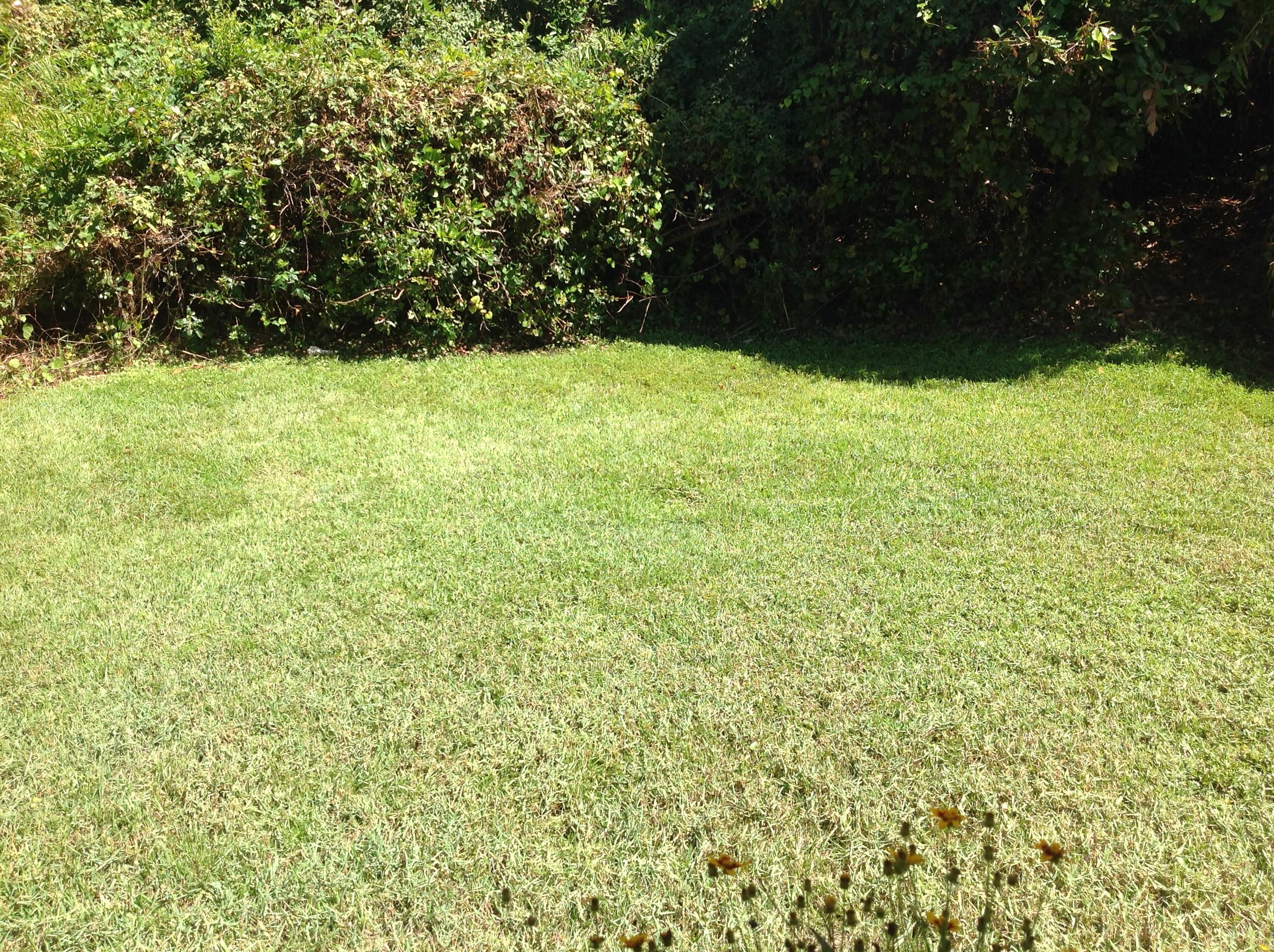 COBIA BAY - Residential