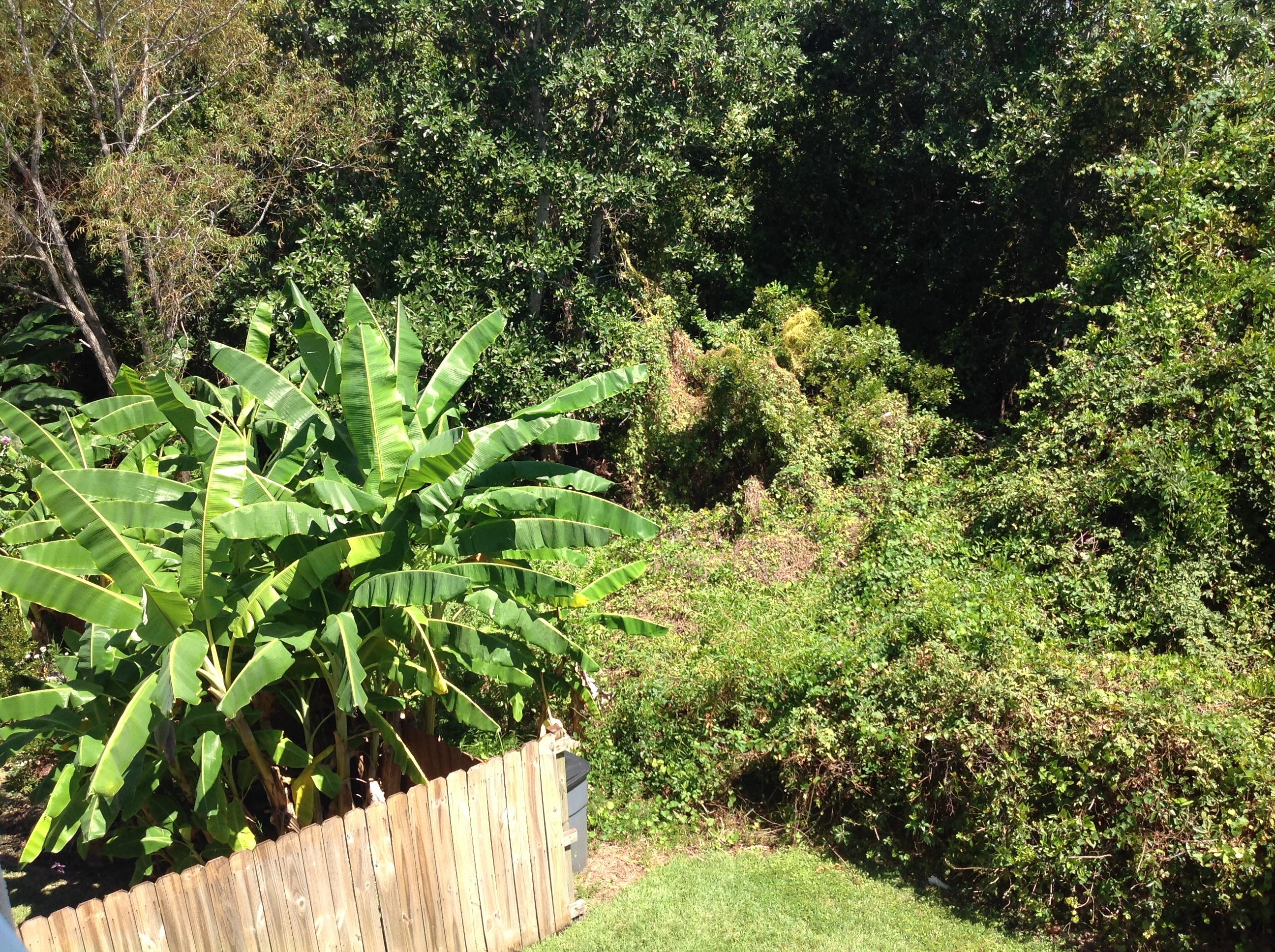 COBIA BAY - Residential