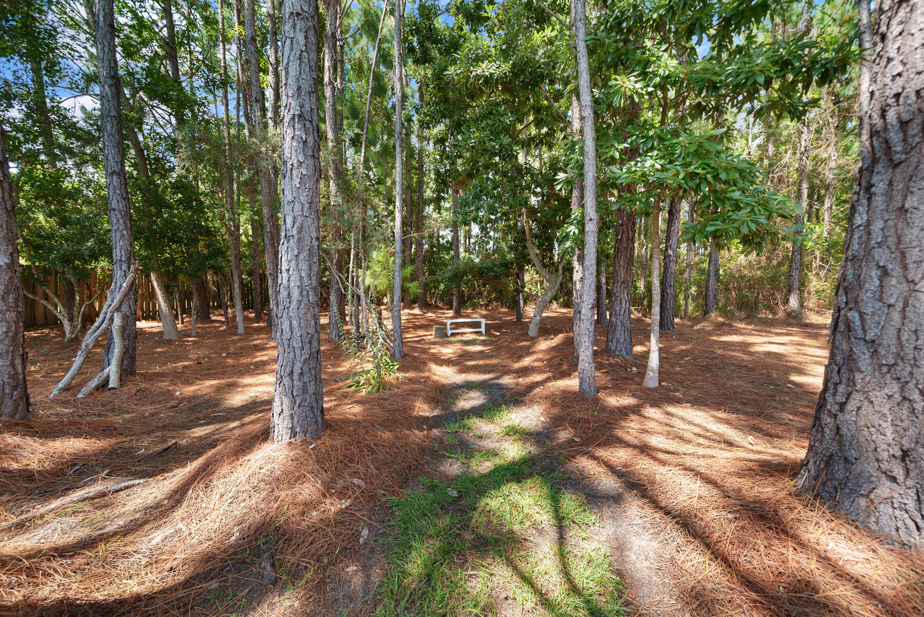 DRIFTWOOD ESTATES - Residential