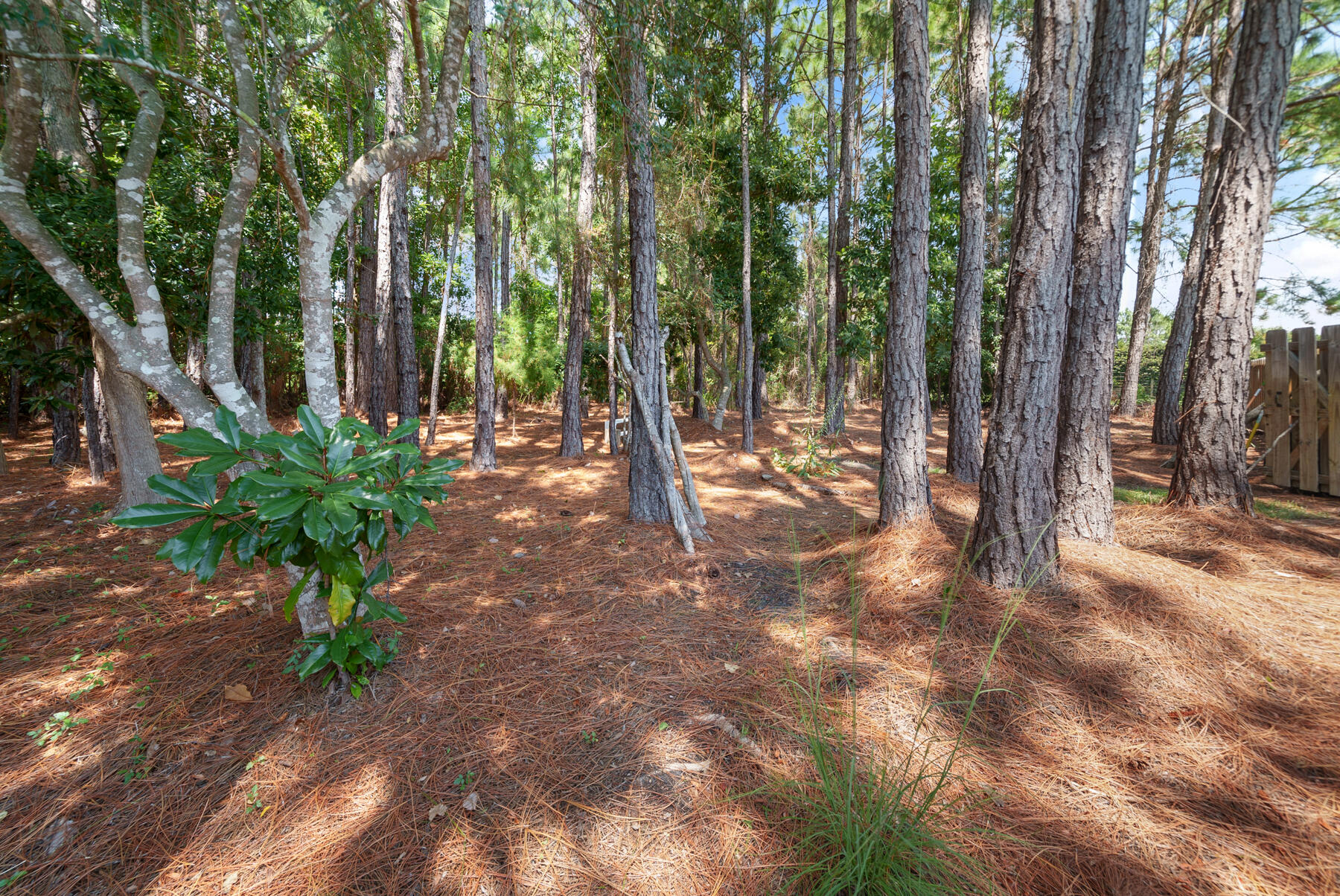 DRIFTWOOD ESTATES - Residential