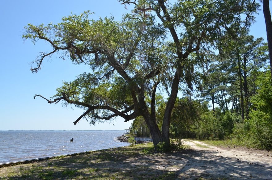 A truly gorgeous waterfront building site in booming Freeport. Compare the Old Florida Beauty of this site to other water-front property and we believe you will be impressed. This lot is one of four Bay-front lots in Baywoods subdivision. Covenants and restriction limit uses to single family homes of at least 1800 SF.Lot features 139 waterfront feet and a depth of almost 400ft. Beautiful Oaks, Magnolias and Pines sit behind a seawall with rip-rap. What a beautiful spot for your home or vacation cottage. Please take a look and give us a call!.City water and sewer is available. Buyer should verify dimensions to their satisfaction. Sellers are licensed Real Estate Agents and have an ownership interest in the property.