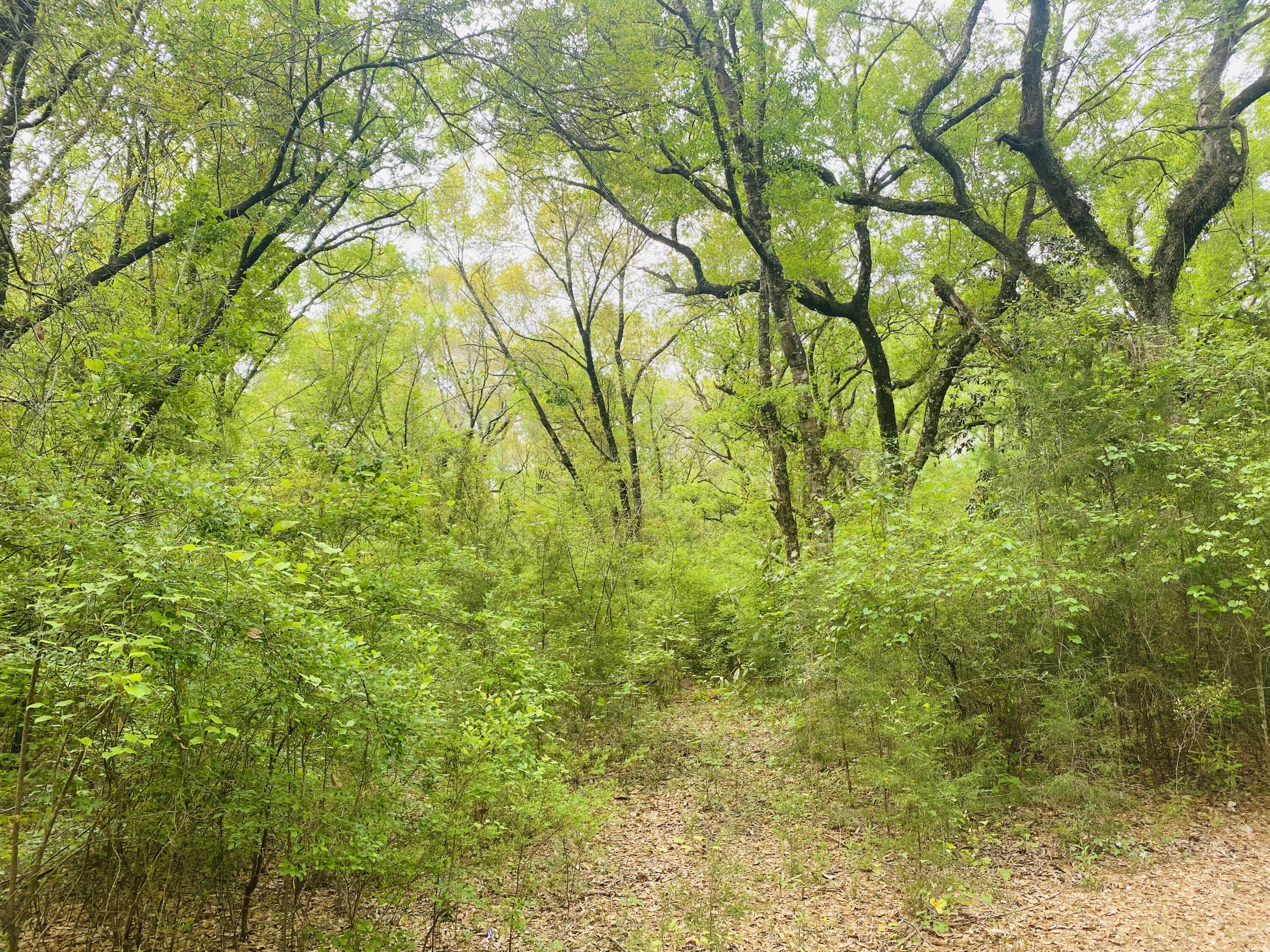 Metes and Bound - Residential