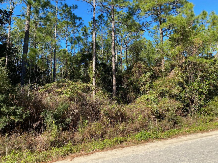 BACK ON THE MARKET - NO FAULT OF THE SELLERS... Close to beaches, the Town of Santa Rosa Beach, and all of the amenities of the 30-A lifestyle without the price tag! No HOA's here, take your time and build! This location is perfect for anyone who loves to boat, fish and live that Bay Life.