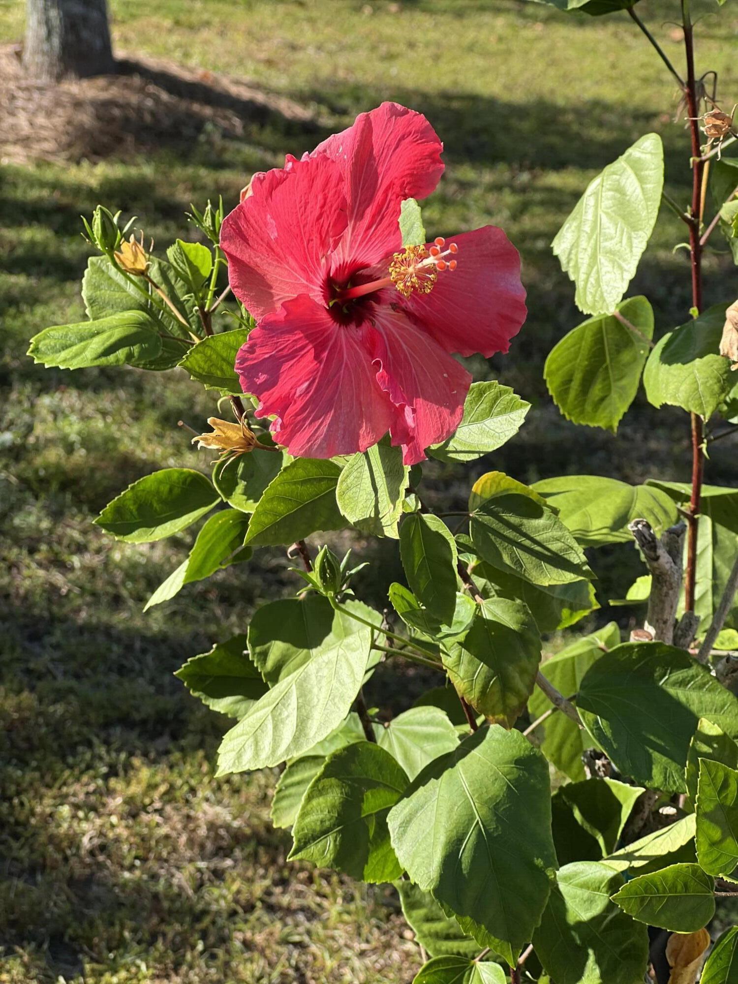 Bylsma Manor Estates - Residential