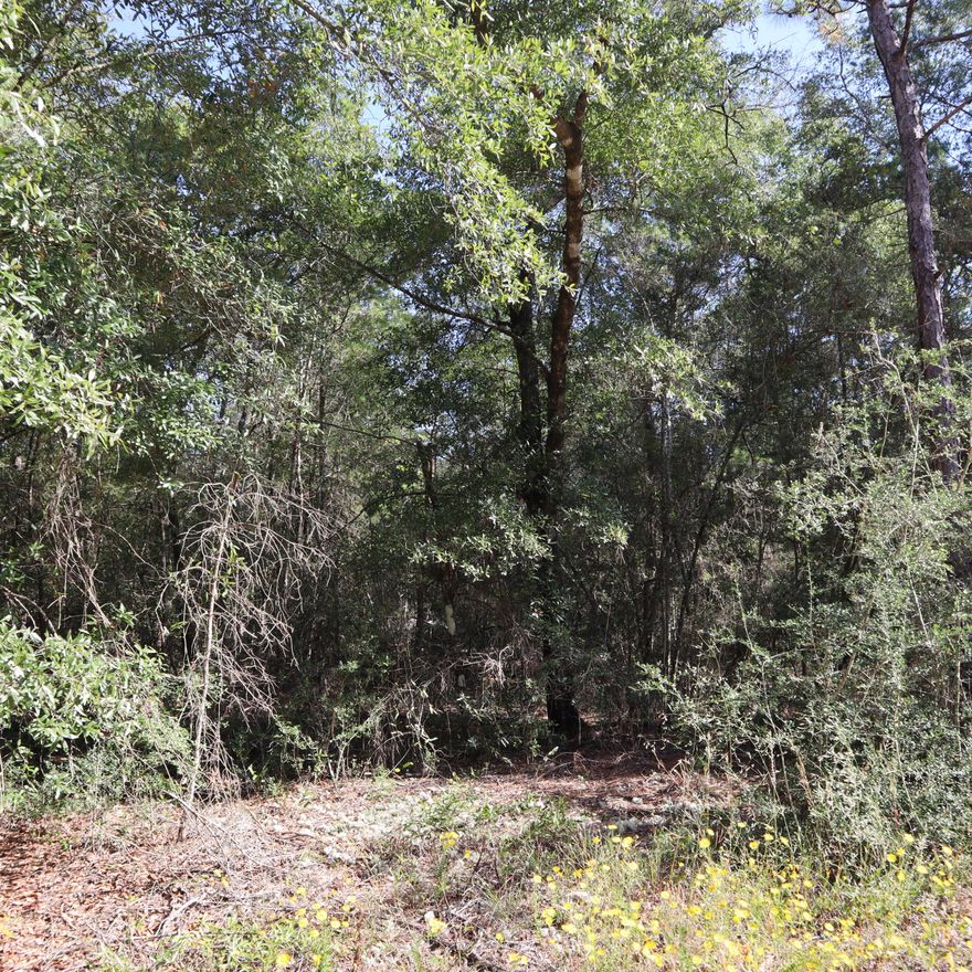 7.49 Acres of wooded vacant land with 330 ft on Highway 90. Close to Defuniak Springs. Property is conveniently located between Defuniak Springs and Mossy Head I-10 exits. This is vacant land with no electric or water. Taps are due. Survey will be needed. Buyer to verify anything important to them.