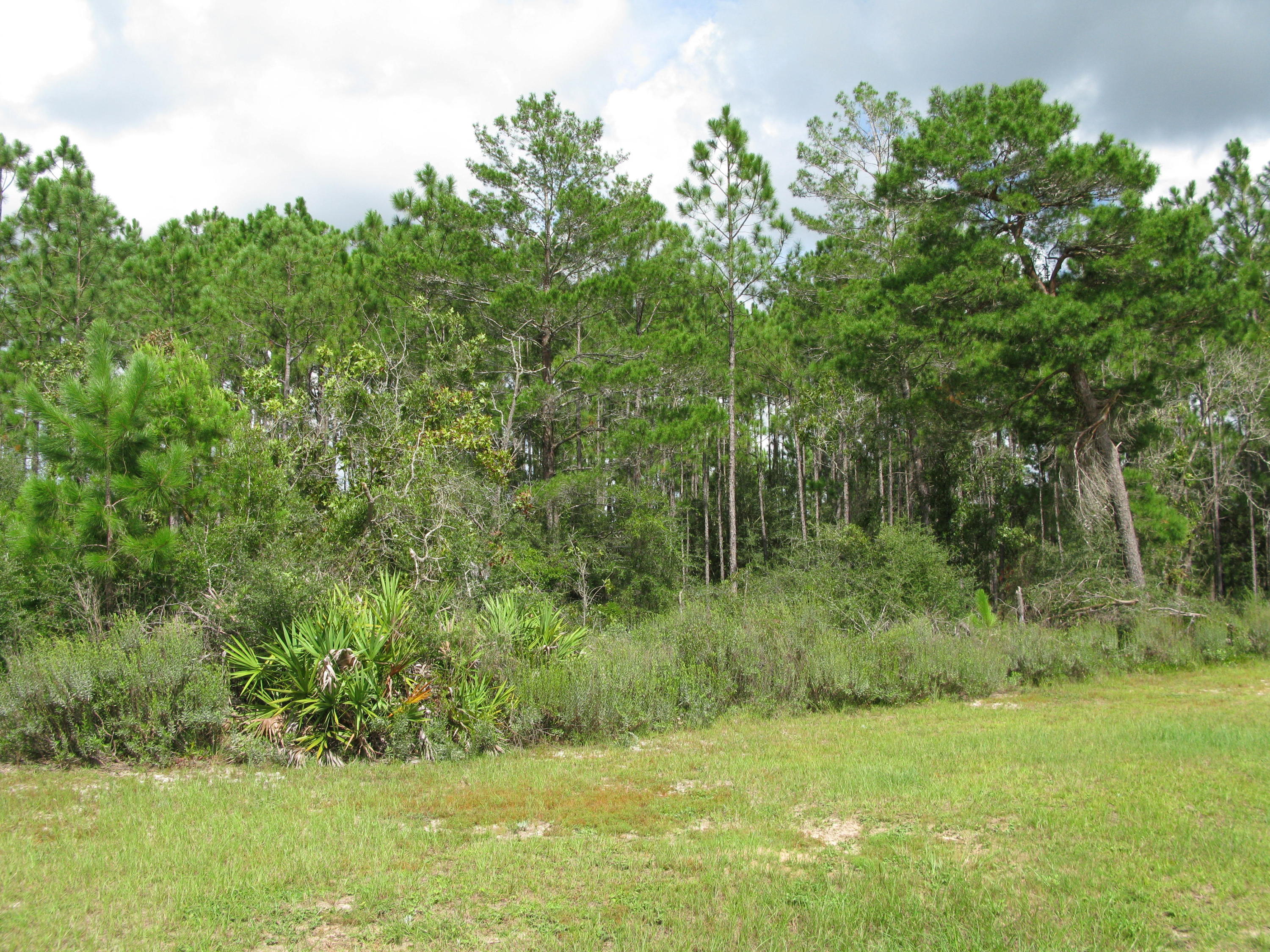 WINDSWEPT ESTATES - Land