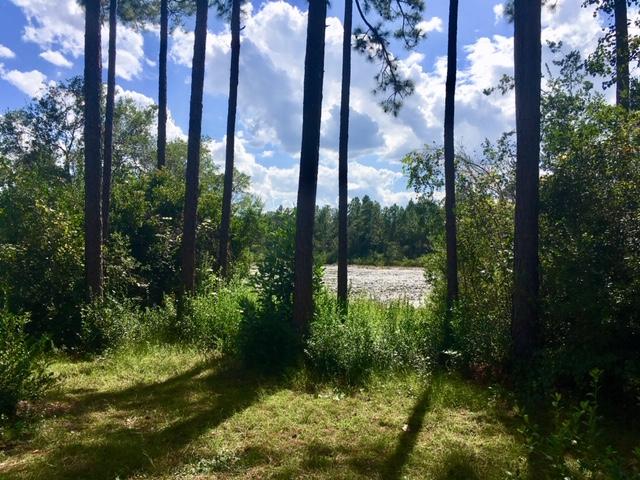 LAKE JUNIPER ESTATES UNIT 3 - Residential