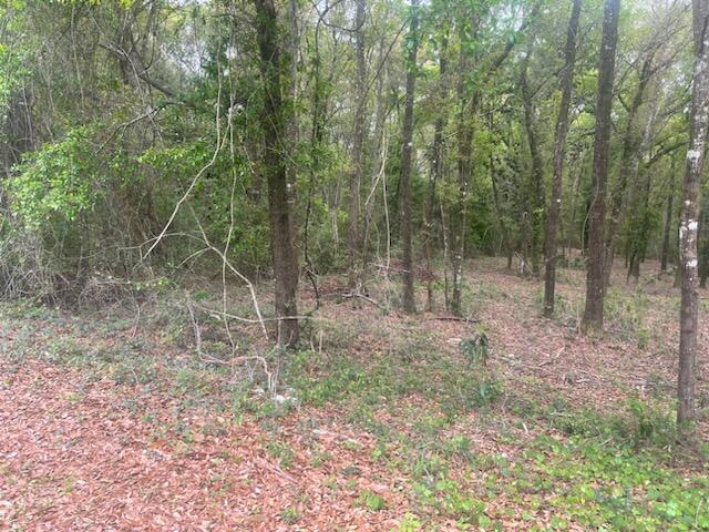 INDIAN TRAILS PH 4 - Land