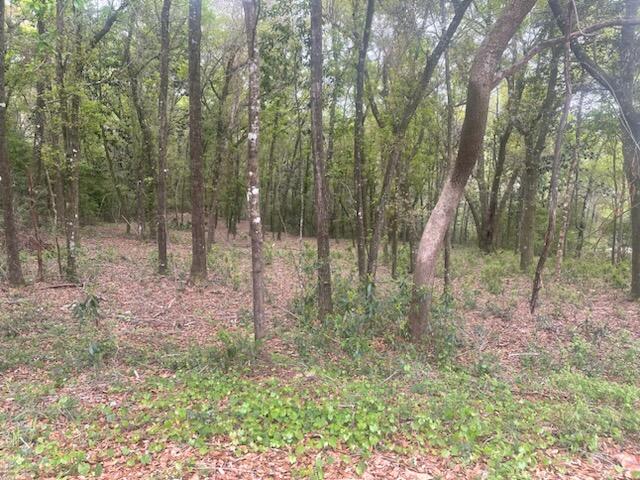 INDIAN TRAILS PH 4 - Land