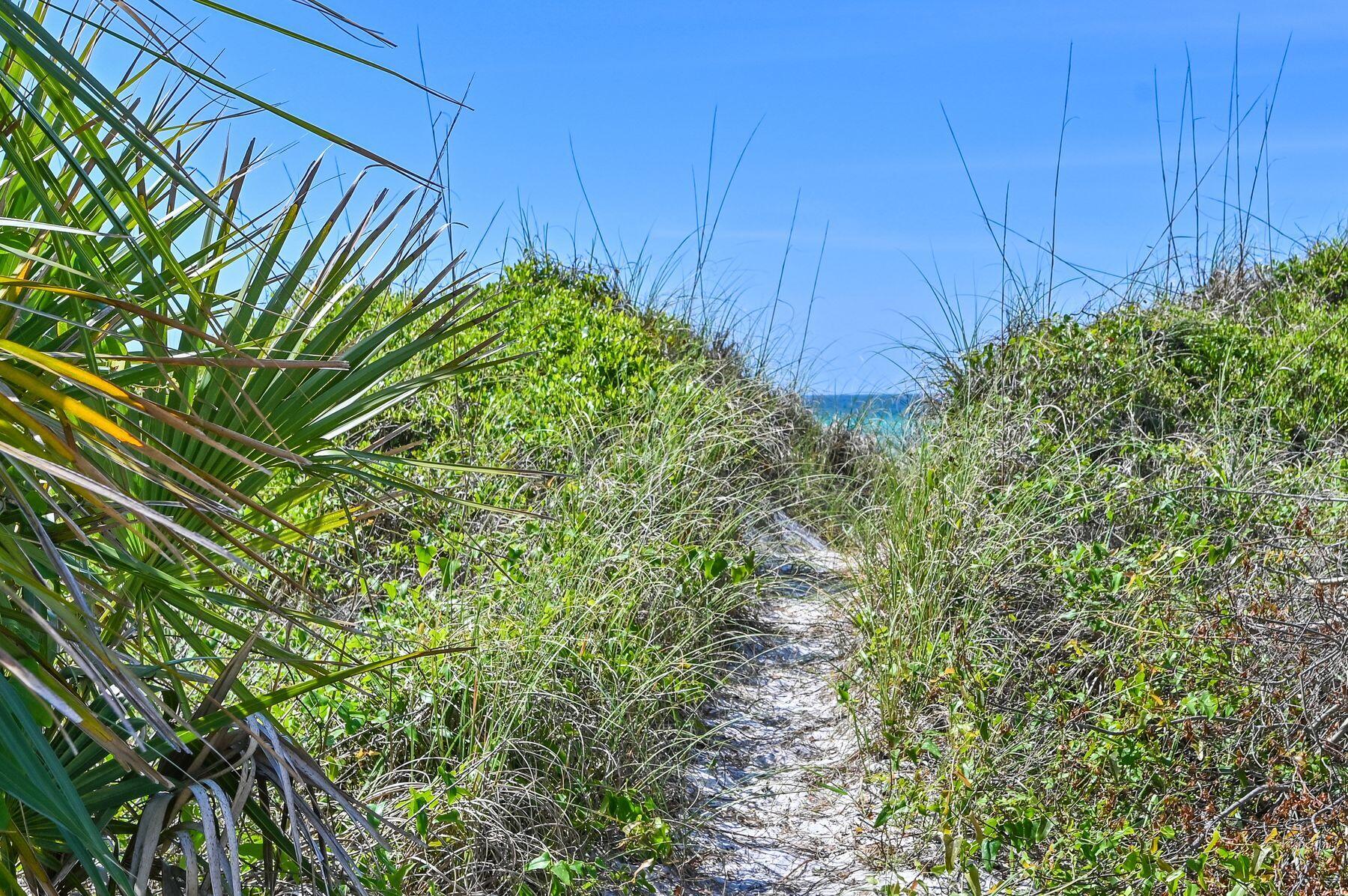 INLET BEACH - Residential