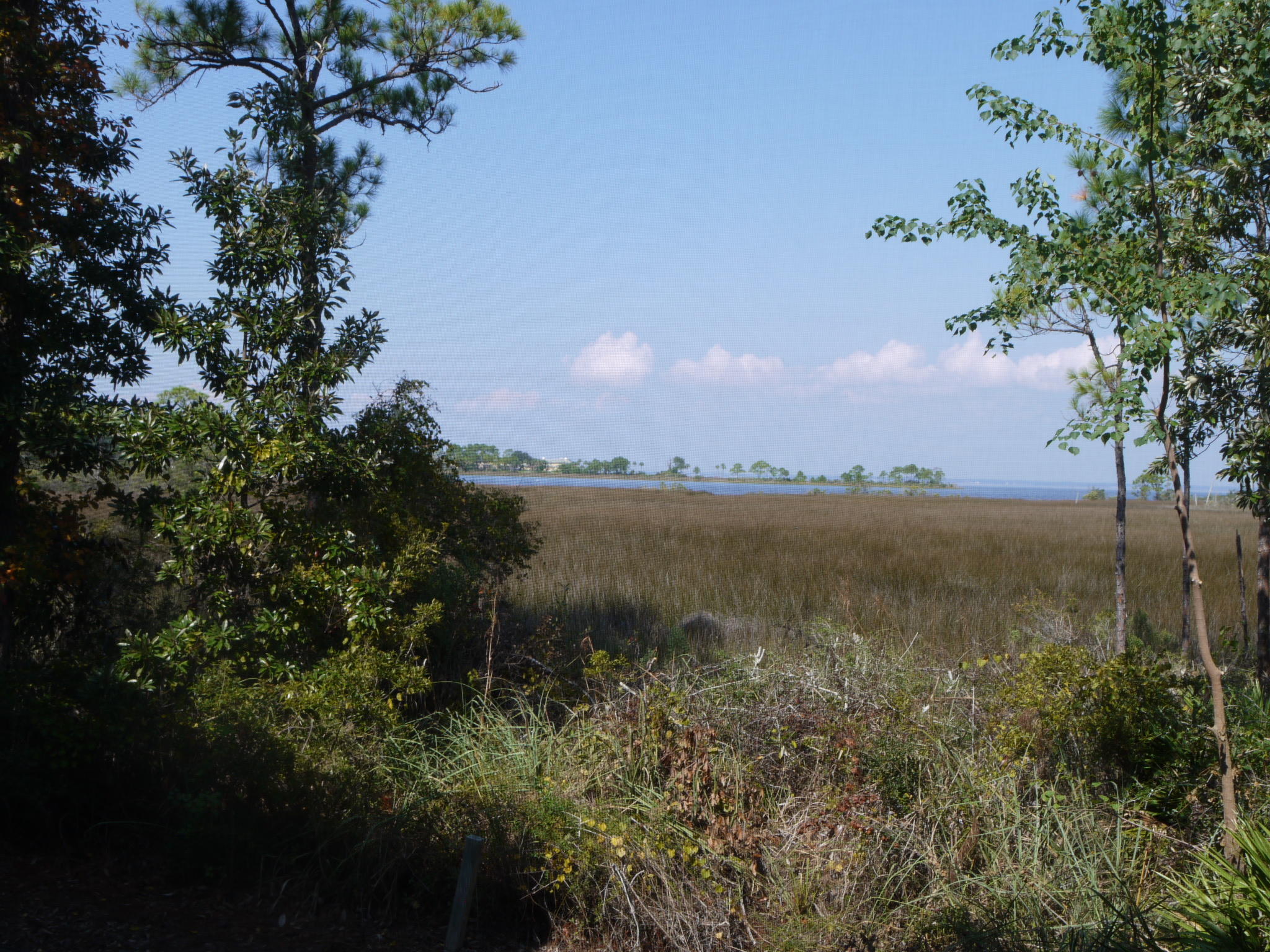 HERON WALK PH 2 - Residential