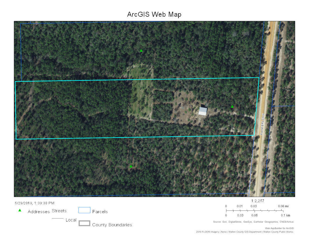 WALTON PLANTATION - Farm