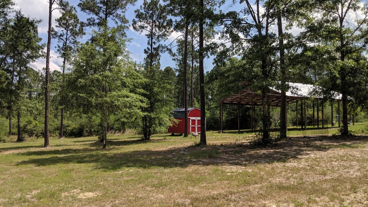 WALTON PLANTATION - Farm