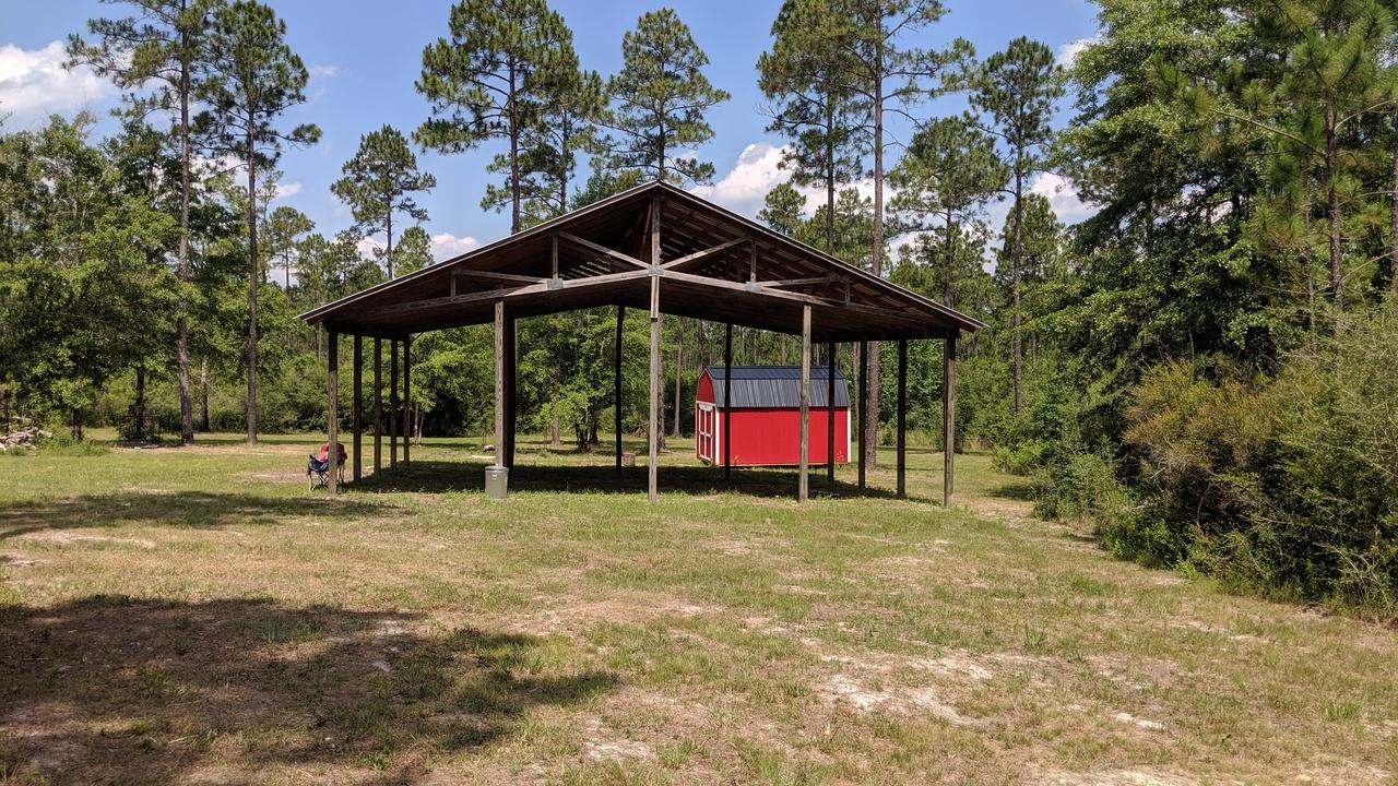 WALTON PLANTATION - Farm