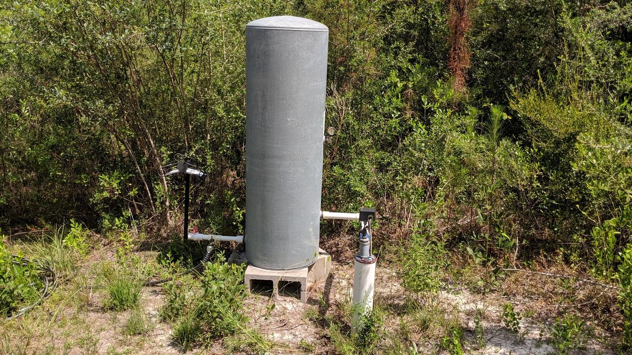 WALTON PLANTATION - Farm