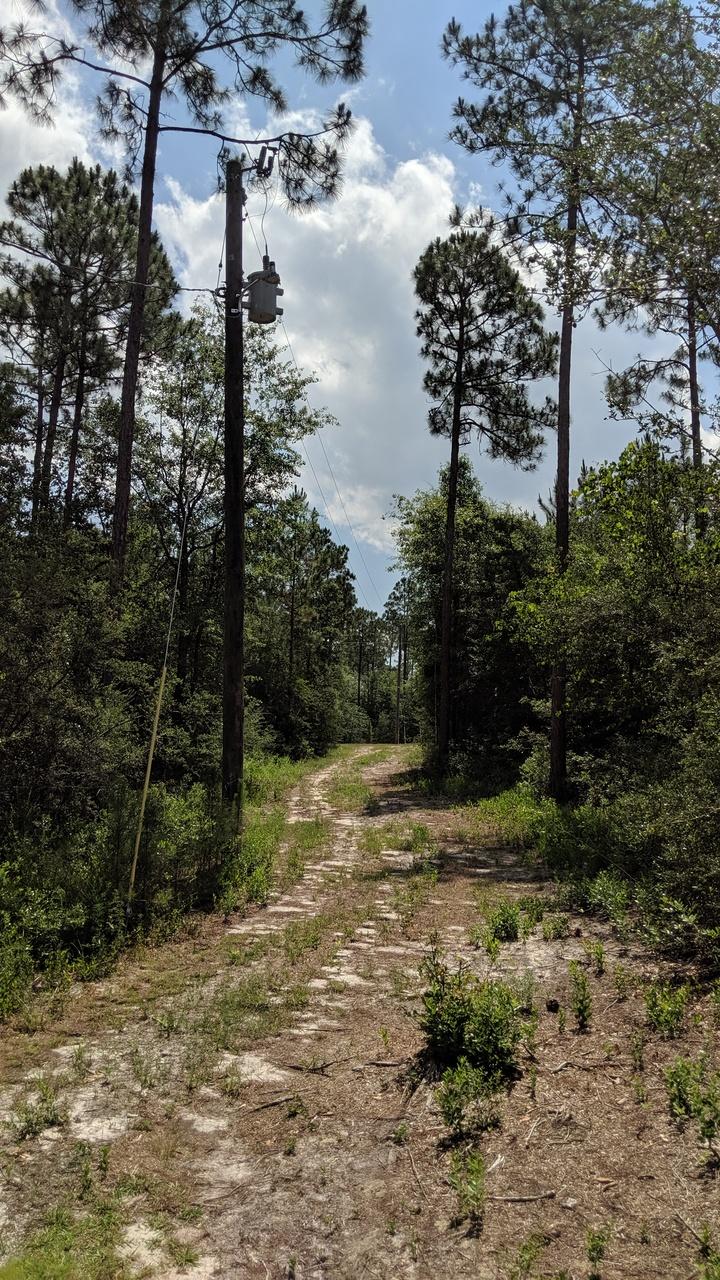 WALTON PLANTATION - Farm