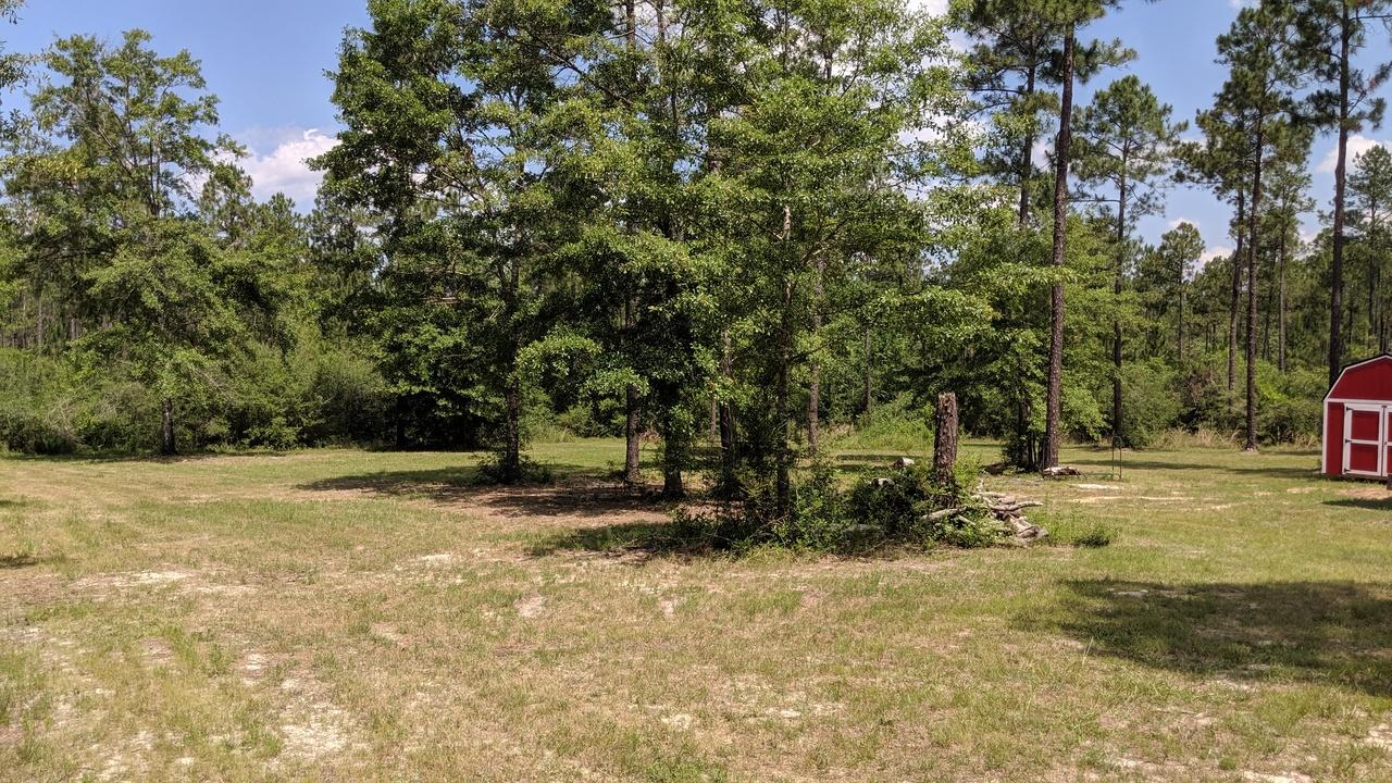 WALTON PLANTATION - Farm