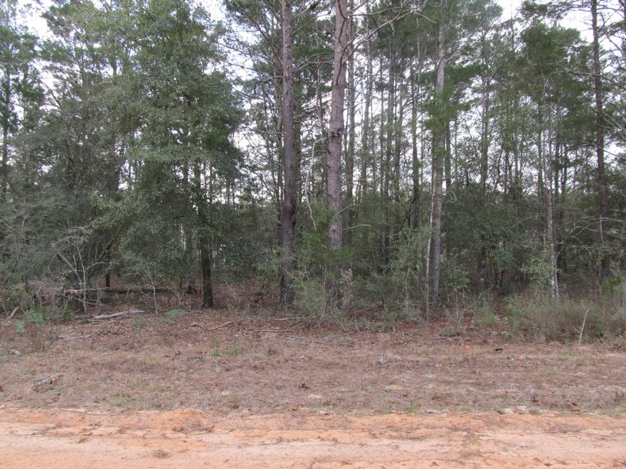 This wooded, level lot presents an excellent opportunity to build in a growing area within an A-plus rated school district. Manufactured homes are also welcome, with no homeowners association. Community water available. Tap Fee due. Power available at the road. Septic would be required.   Contact your agent today.