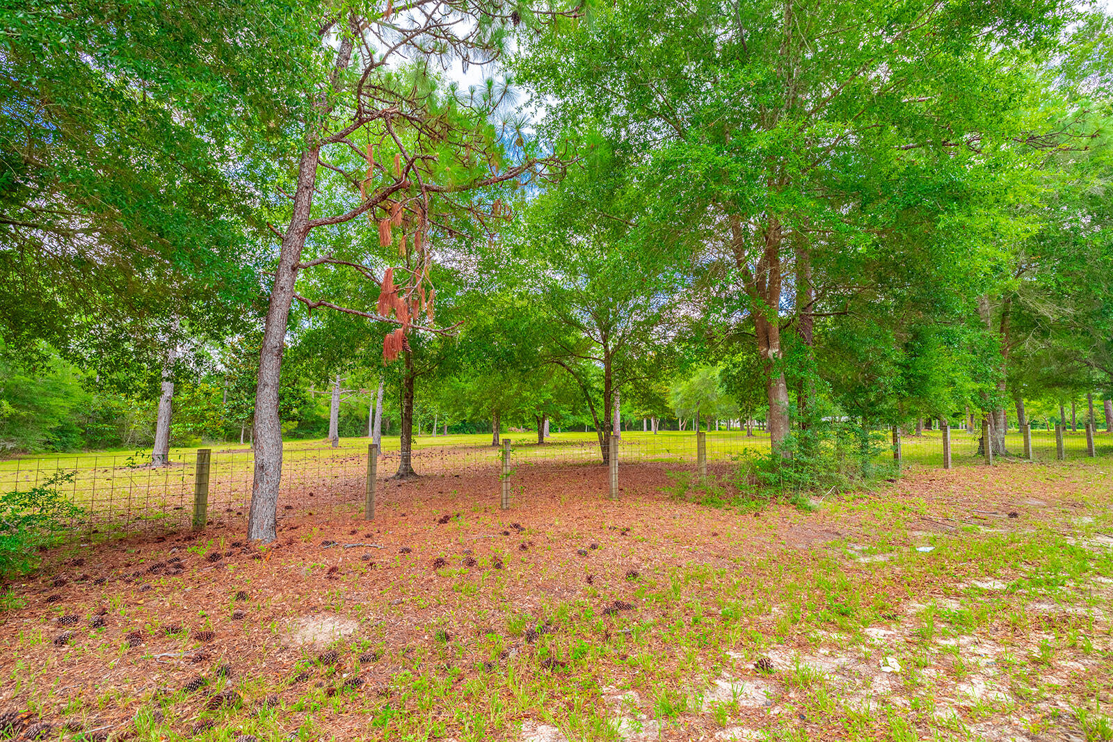 LAKE ROSEMARY SOUTH S/D - Land
