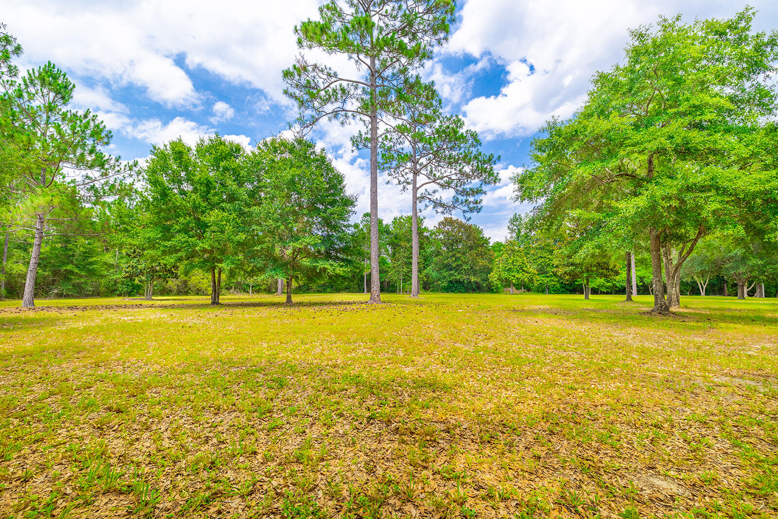 LAKE ROSEMARY SOUTH S/D - Land