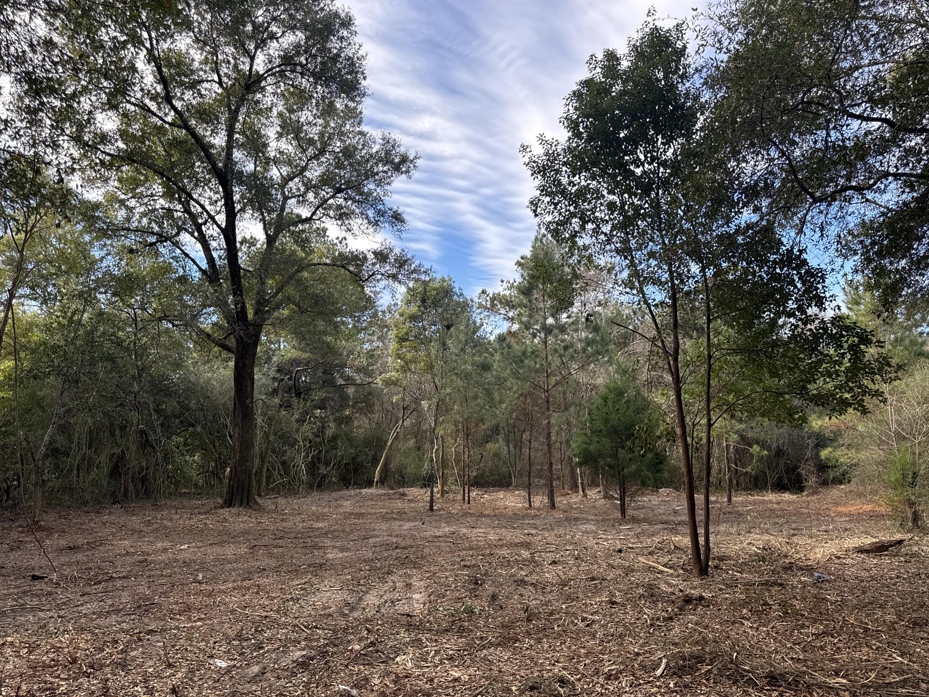 METES & BOUNDS - Land