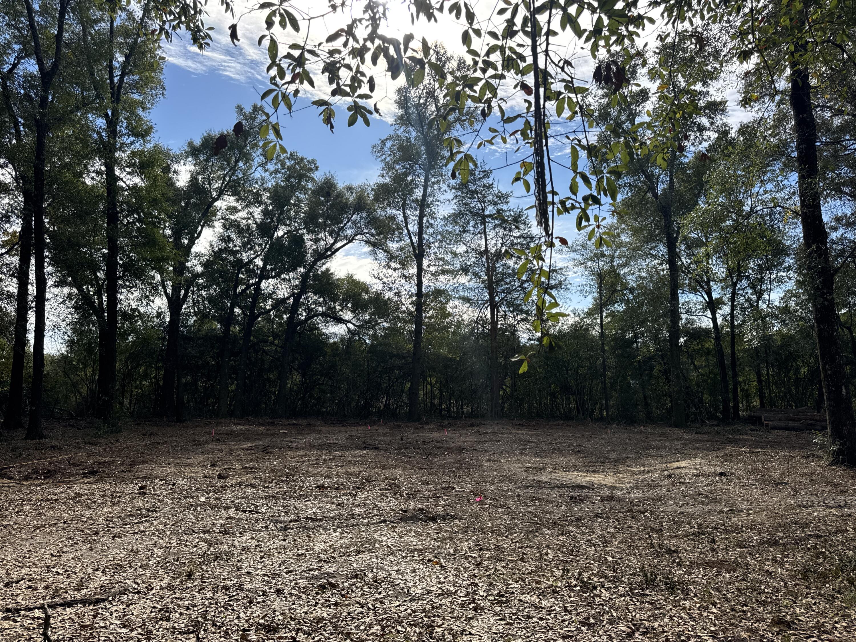 METES & BOUNDS - Land