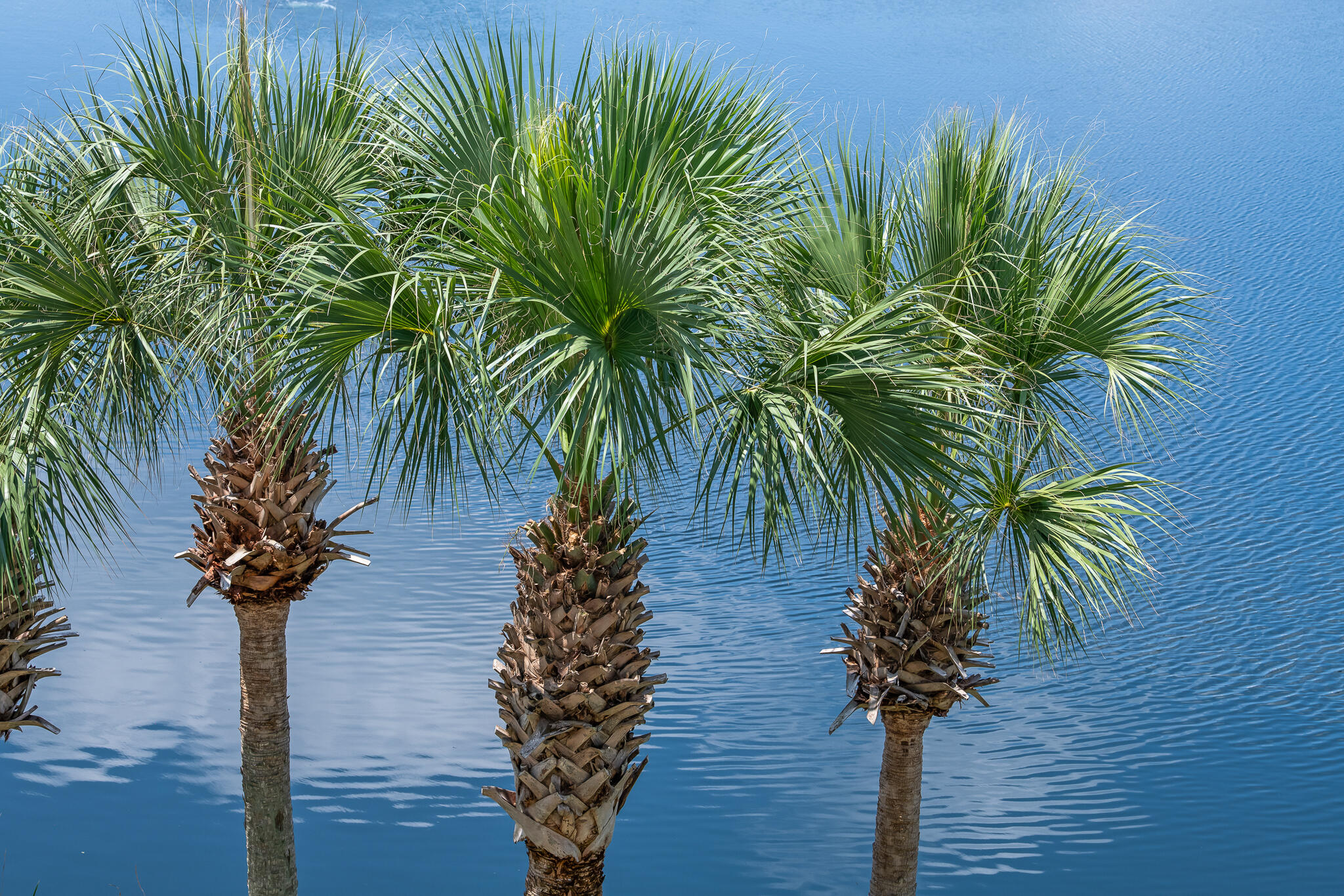 CARILLON BEACH - Residential