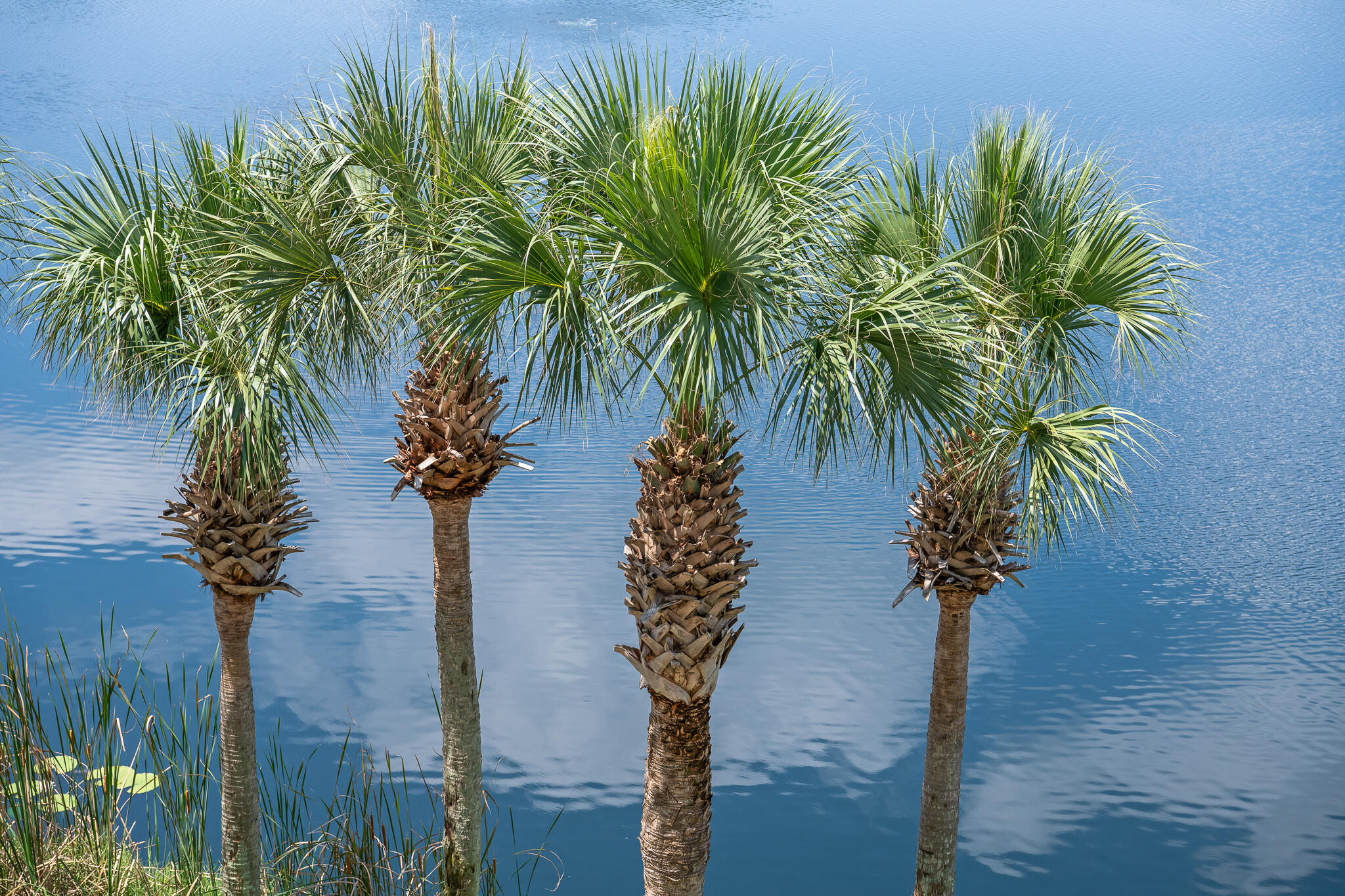 CARILLON BEACH - Residential
