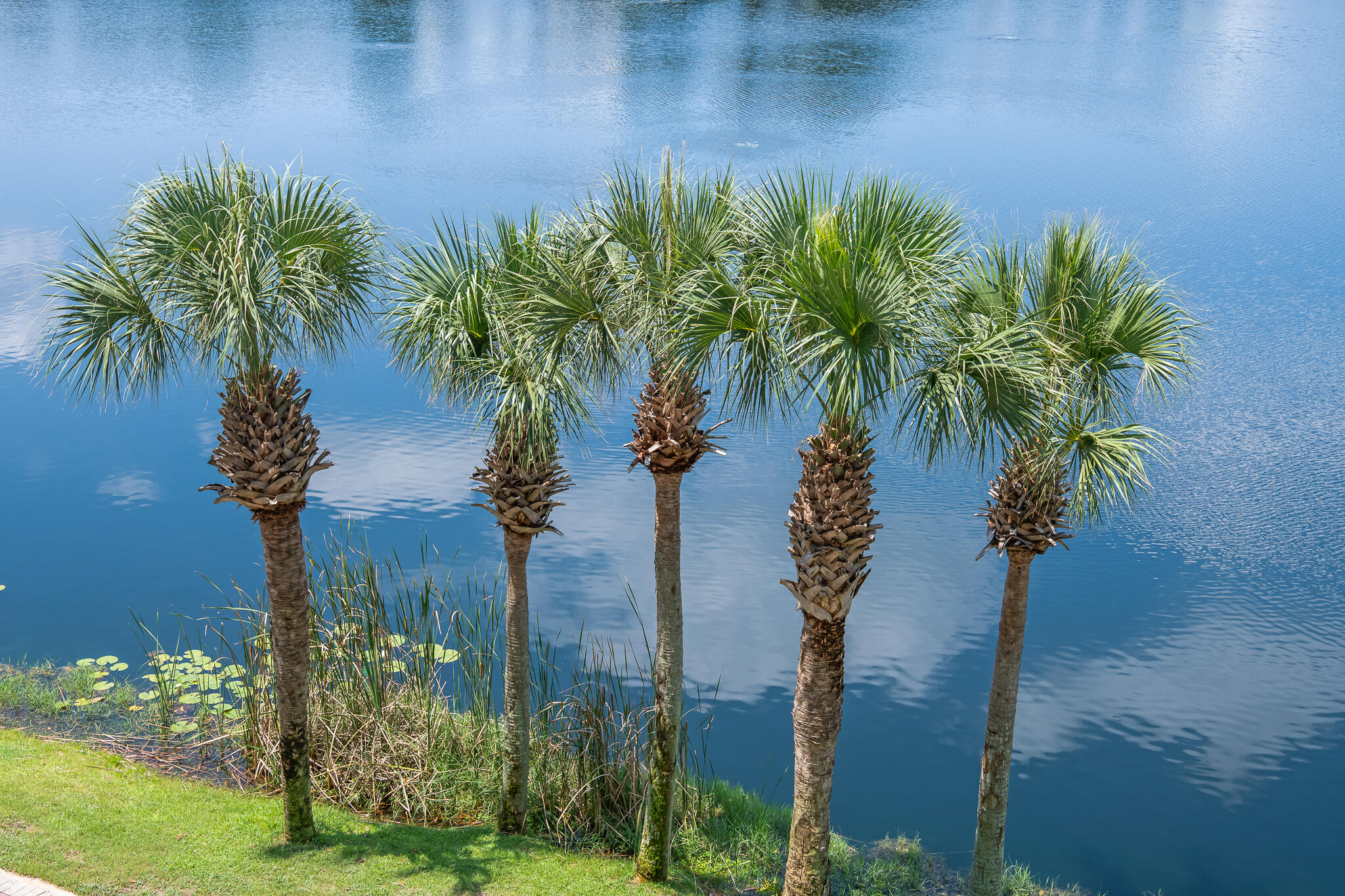 CARILLON BEACH - Residential