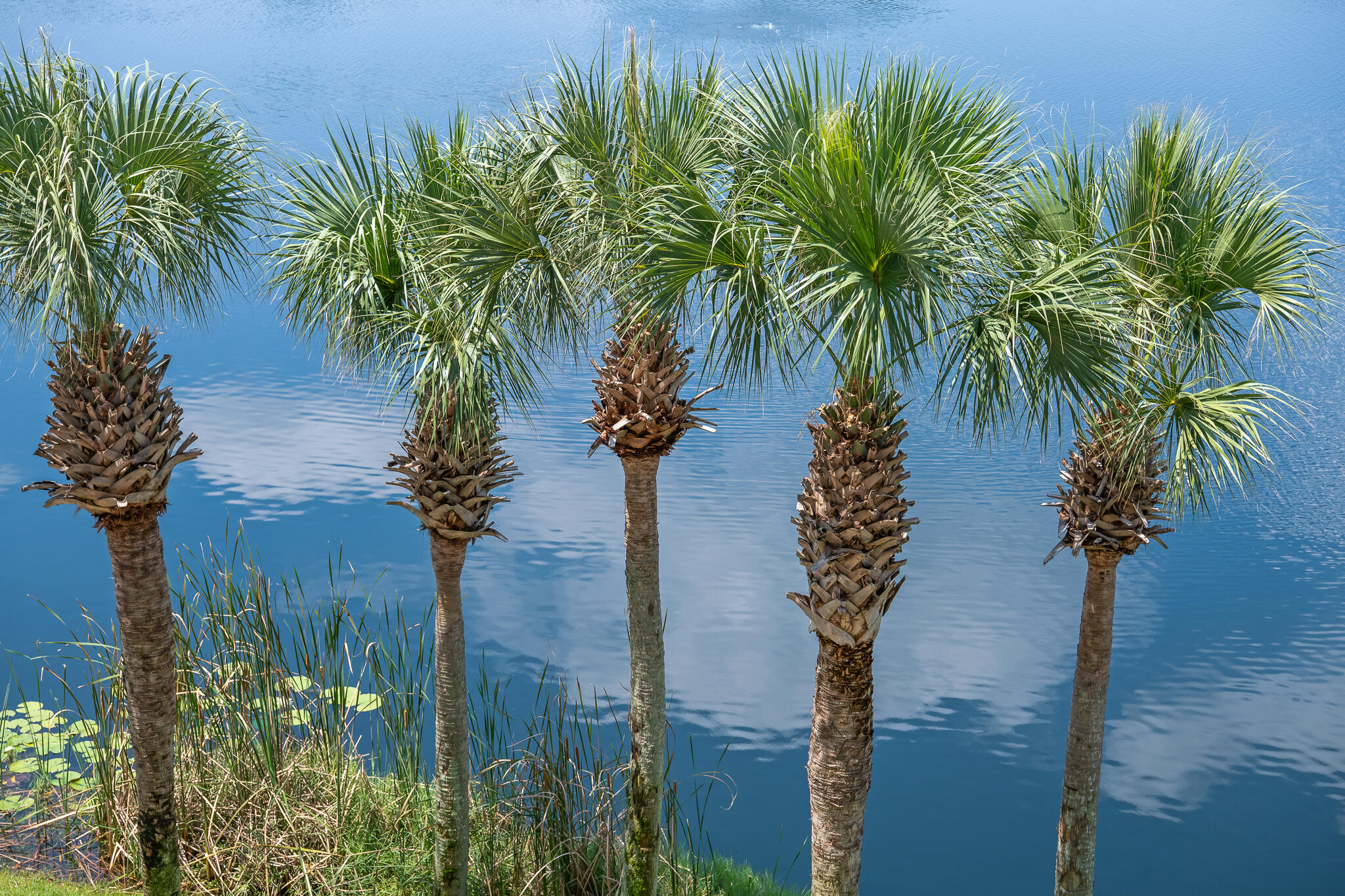 CARILLON BEACH - Residential