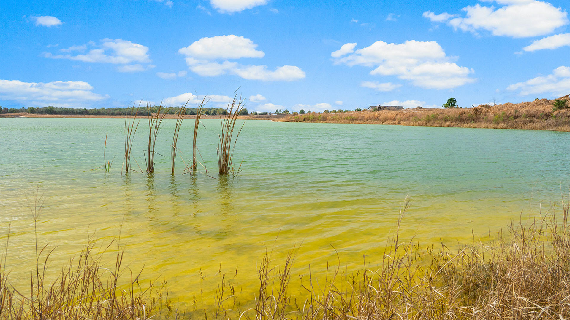 Owls Head East - Residential