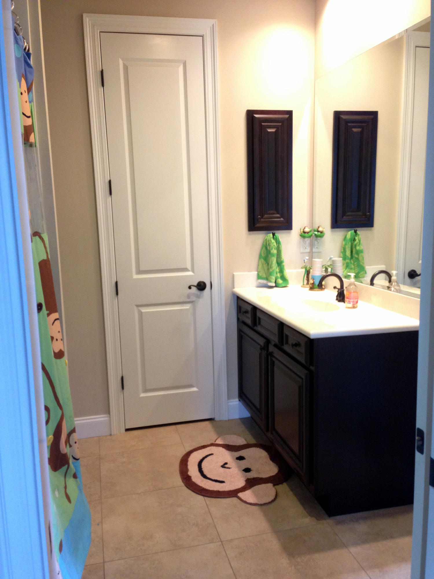 THE PRESERVE AT SWIFT CREEK - Residential