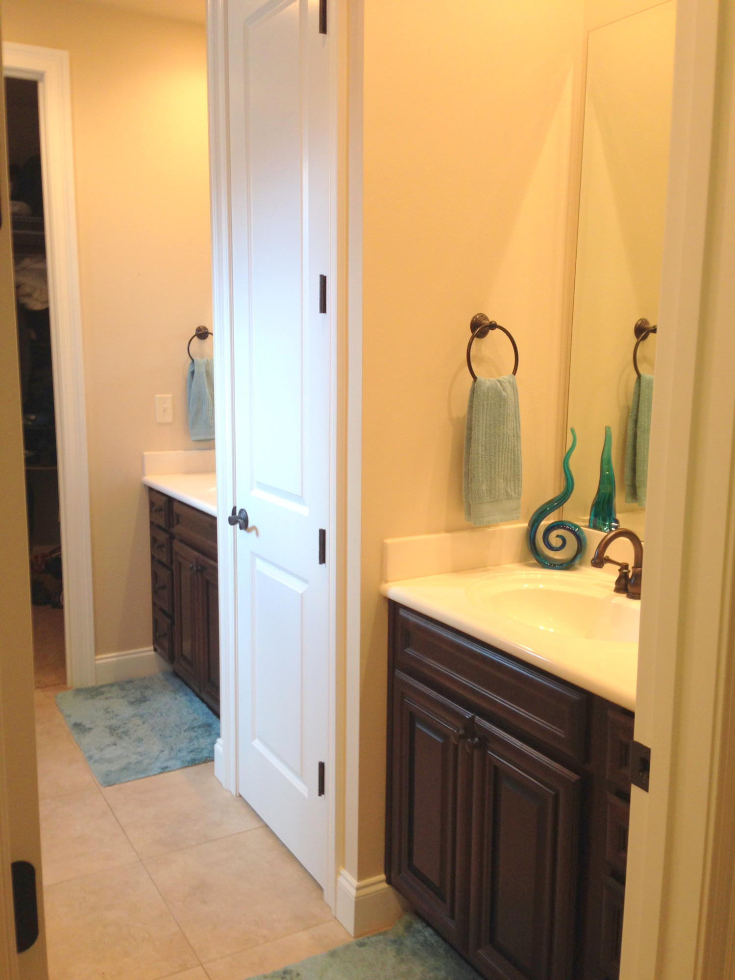 THE PRESERVE AT SWIFT CREEK - Residential