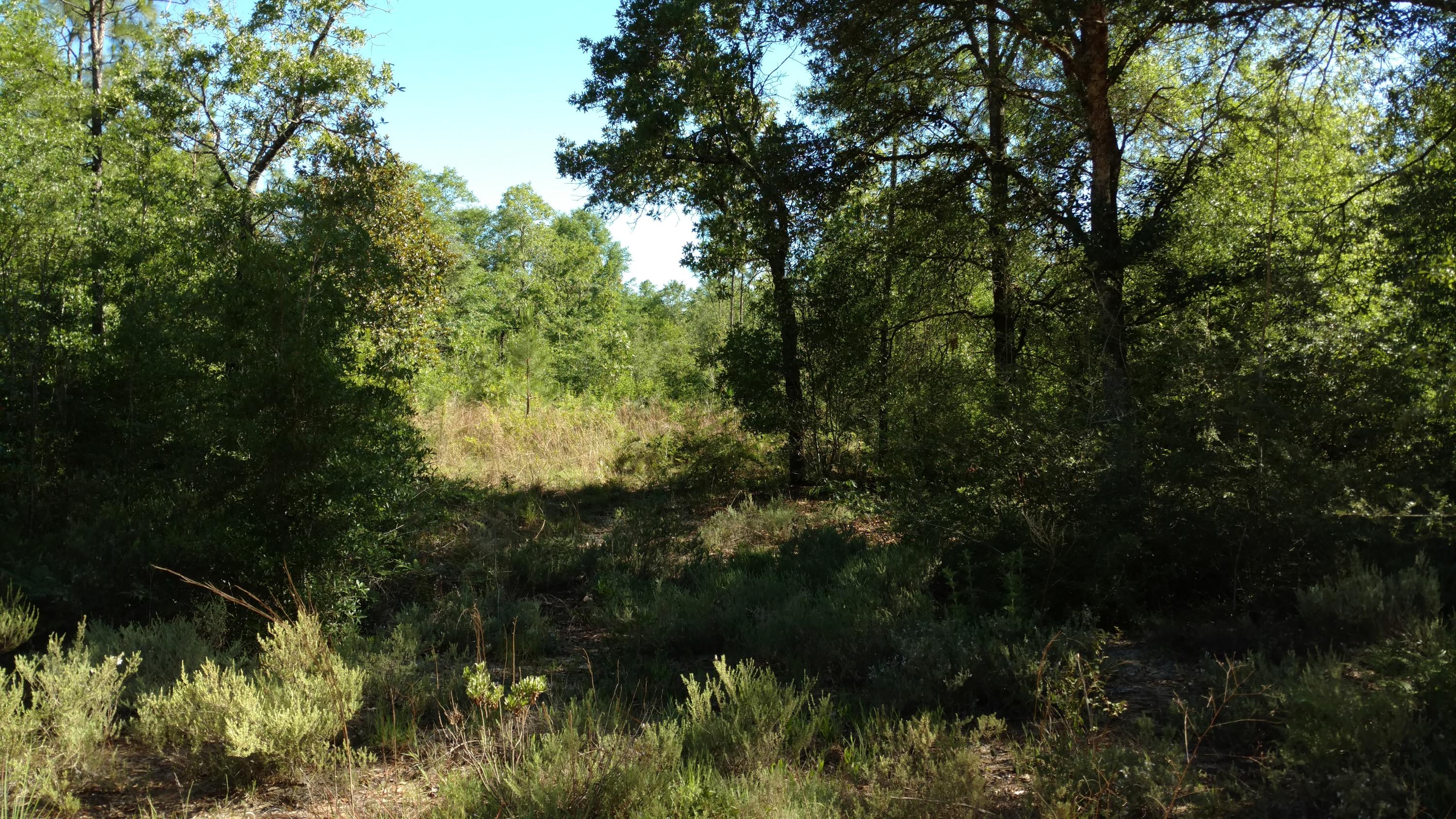 METES & BOUNDS - Land