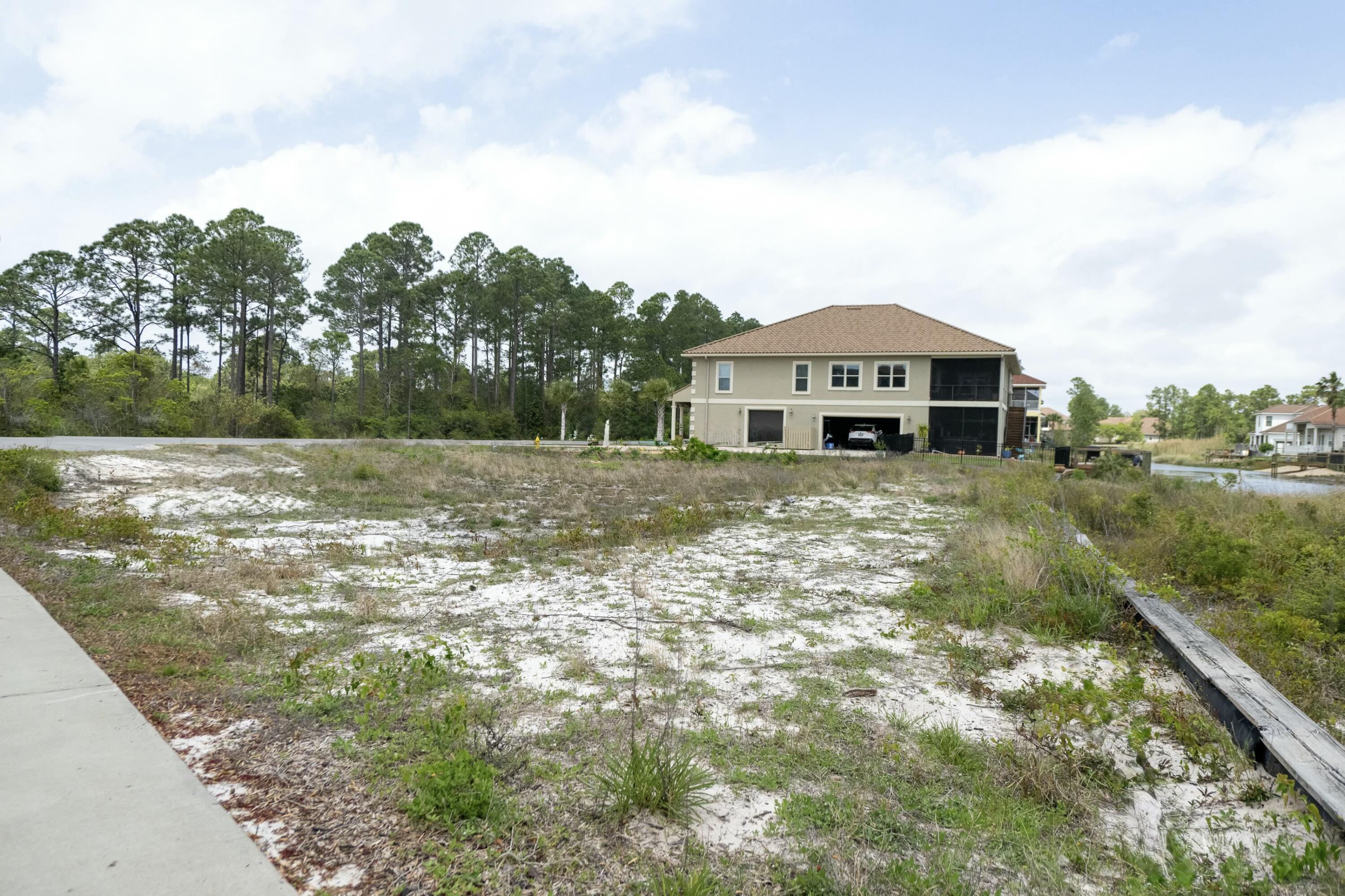 PALMETTO LAKE PRESERVE - Land