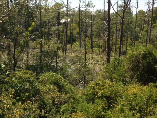 Lakeside At Blue Mountain Beach - Residential